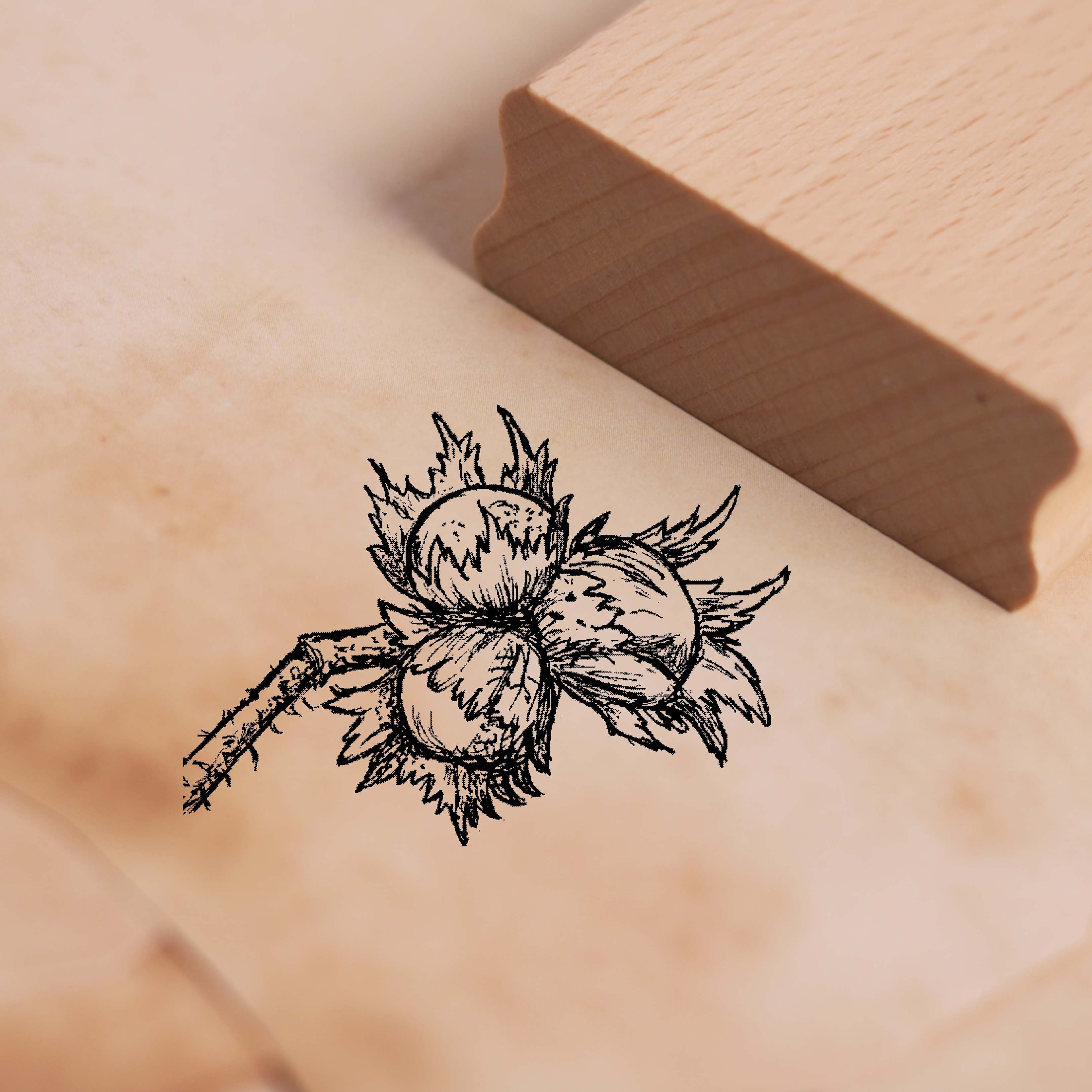 Motivstempel Haselnuss - Stempel Holzstempel 38 x 28 mm
