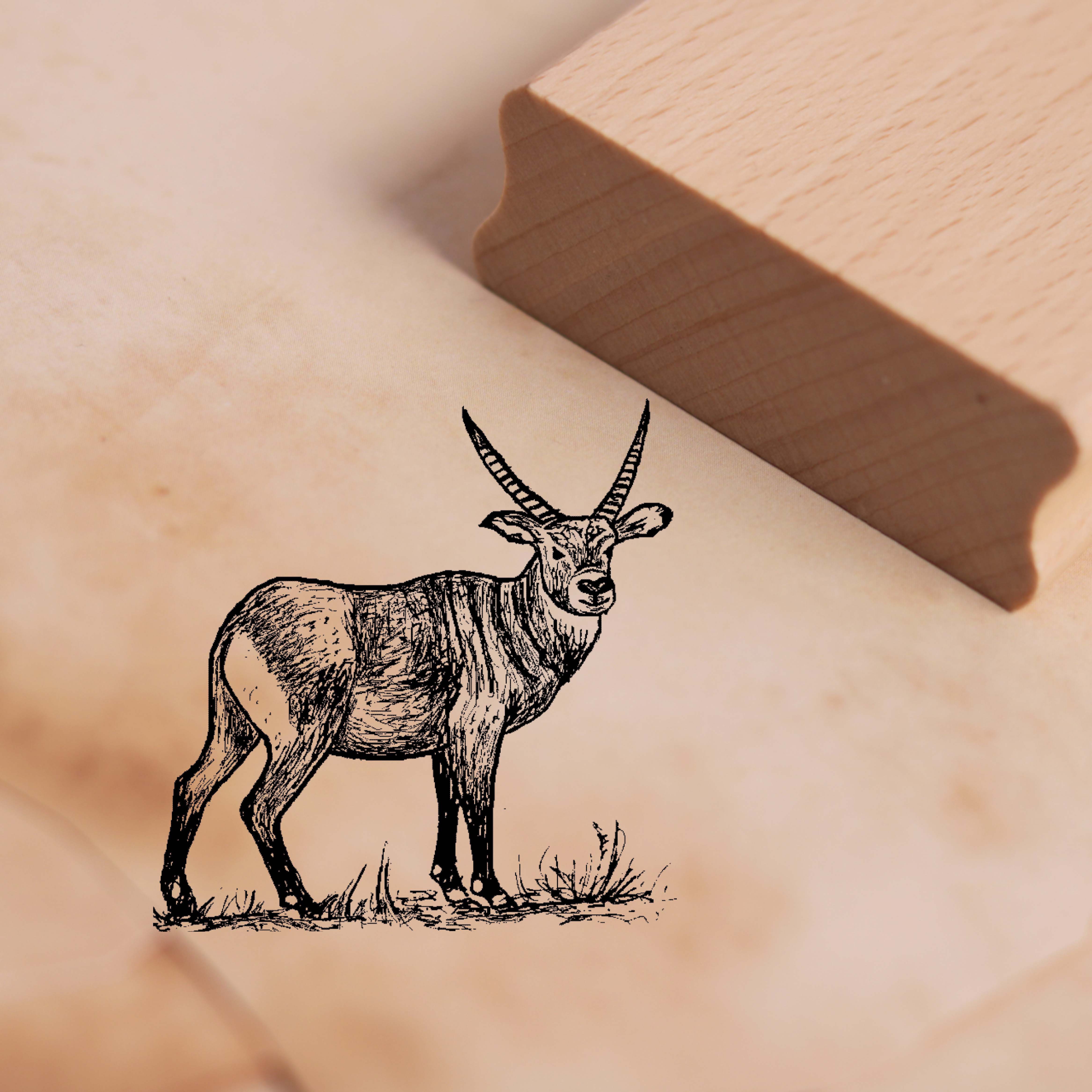 Motivstempel Antilope Stempel 47 x 48 mm