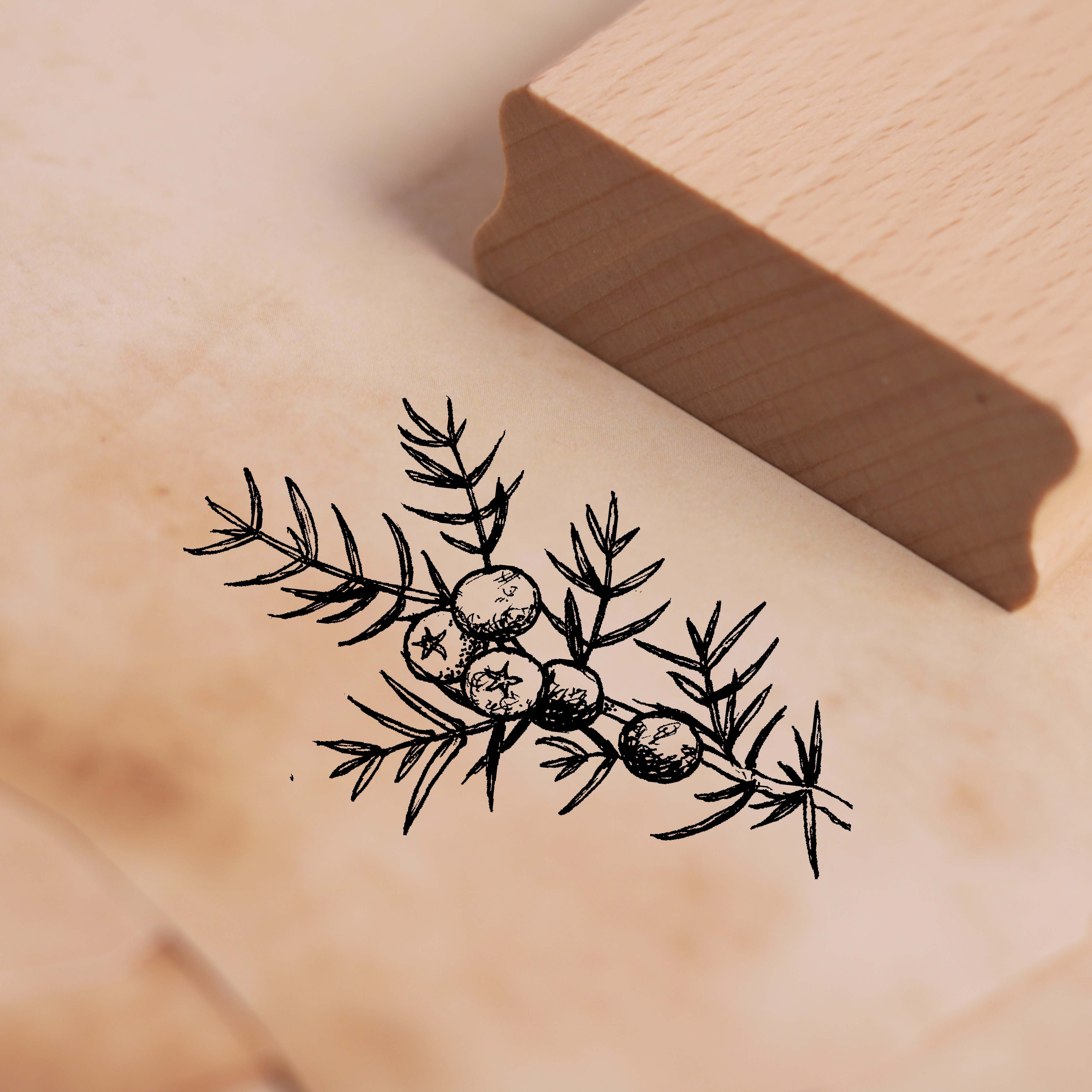 Motivstempel Wacholder Stempel aus Holz - 38mm x 28mm