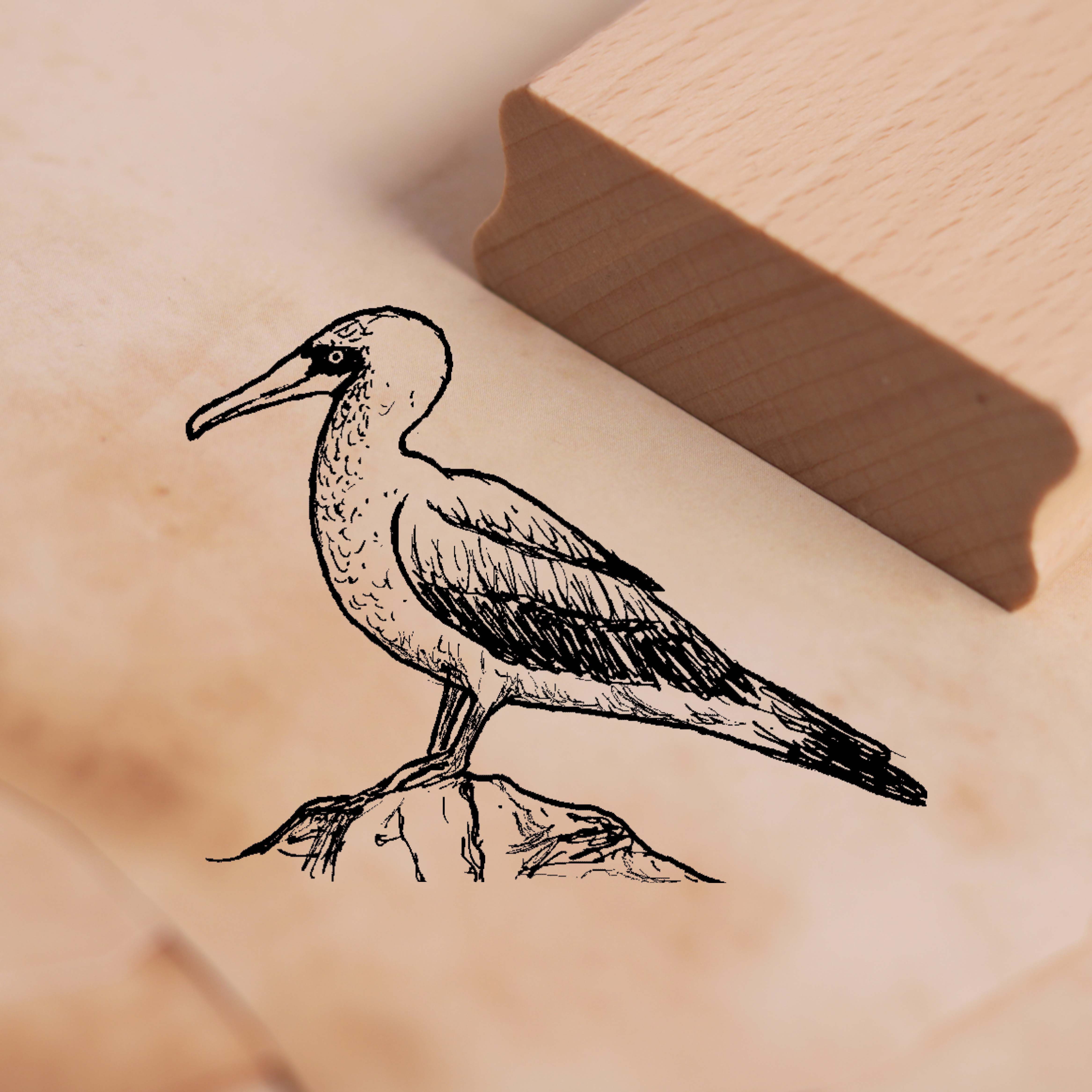 Motivstempel Albatros Stempel Vogel 48 x 38 mm