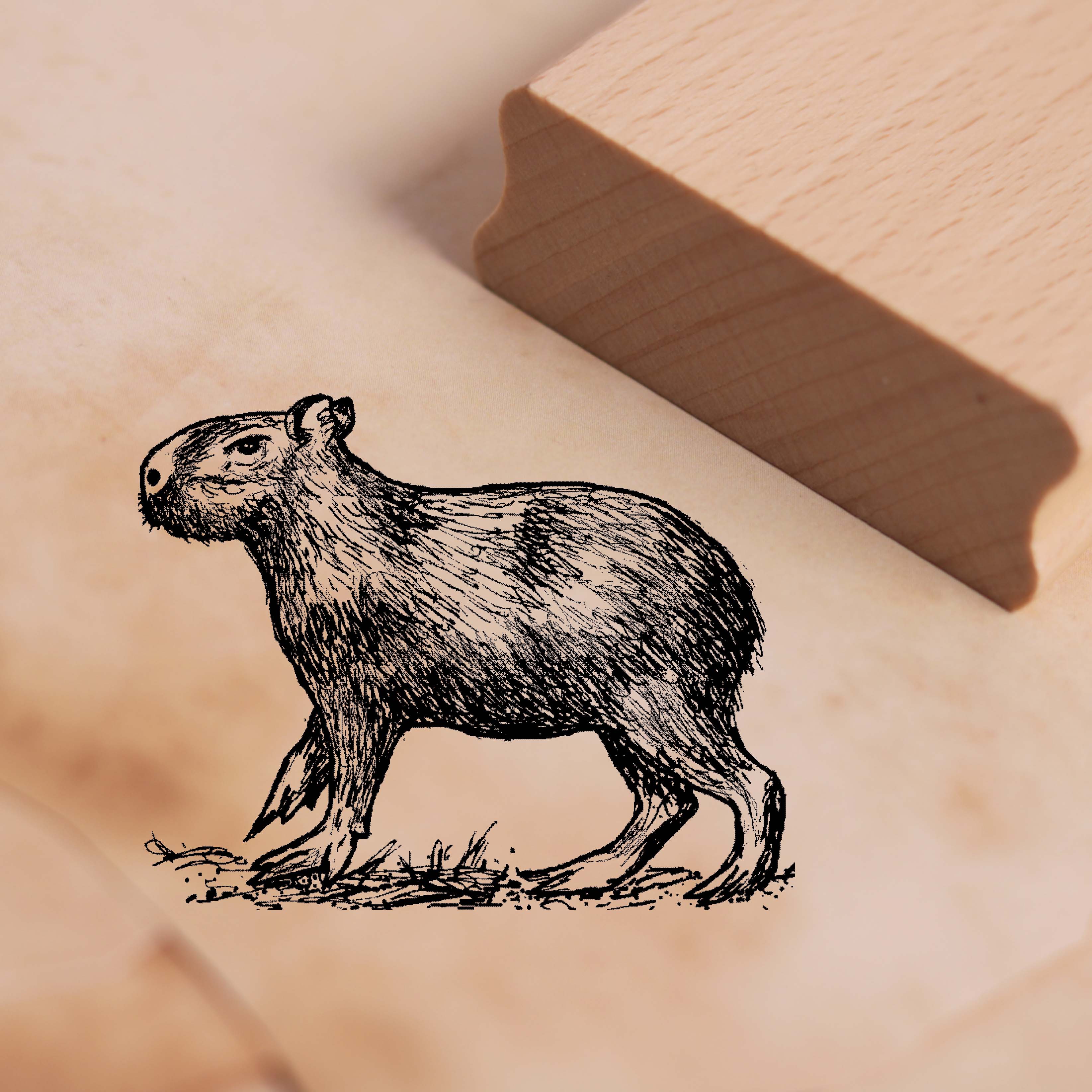 Motivstempel Capybara - Wasserschwein Stempel 48 x 38 mm