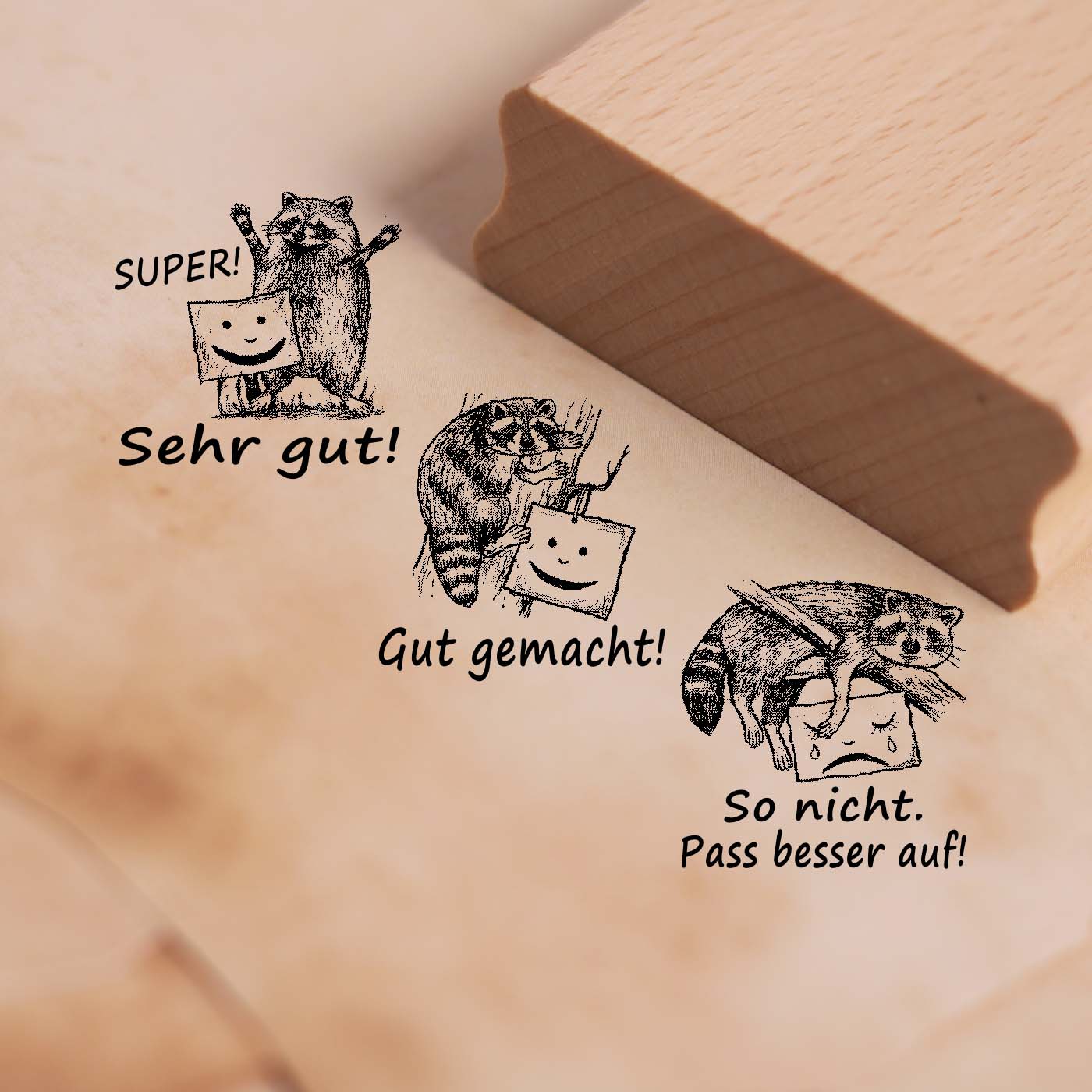 Lehrerstempel Waschbär im Set - 3 Motivstempel mit Spruch und Motiv für Schule ca. 28 x 28 mm