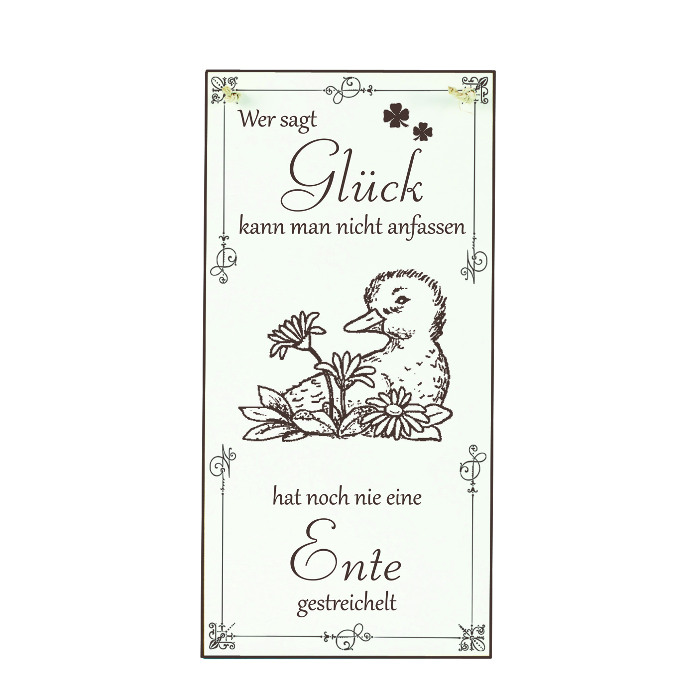 Schild Ente Glück kann man streicheln Spruch - Vintage Dekoschild Tiere Türschild  10 x 20 cm