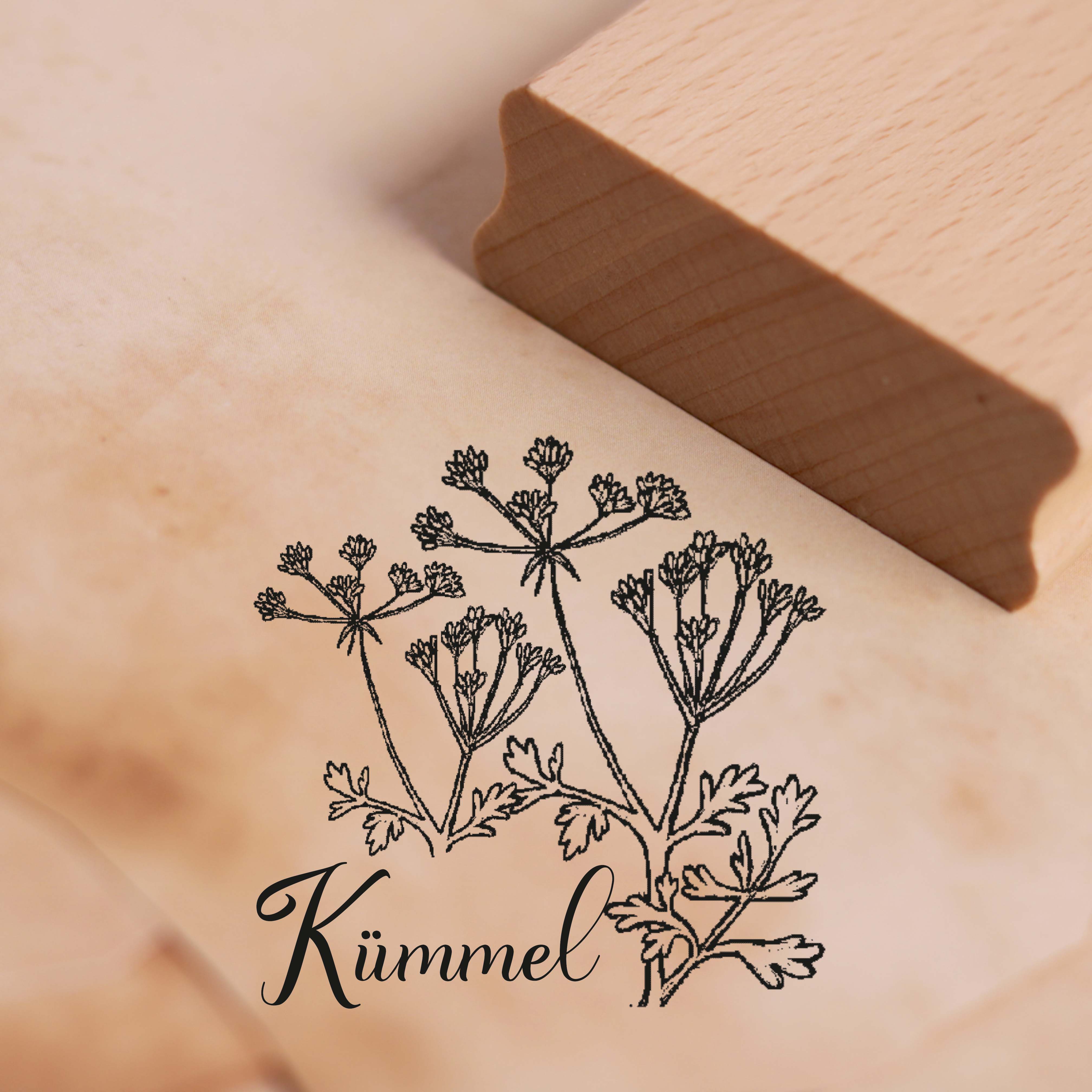 Motivstempel Kümmel - Kräuter Küchenkräuter Stempel Holzstempel 48 x 48 mm