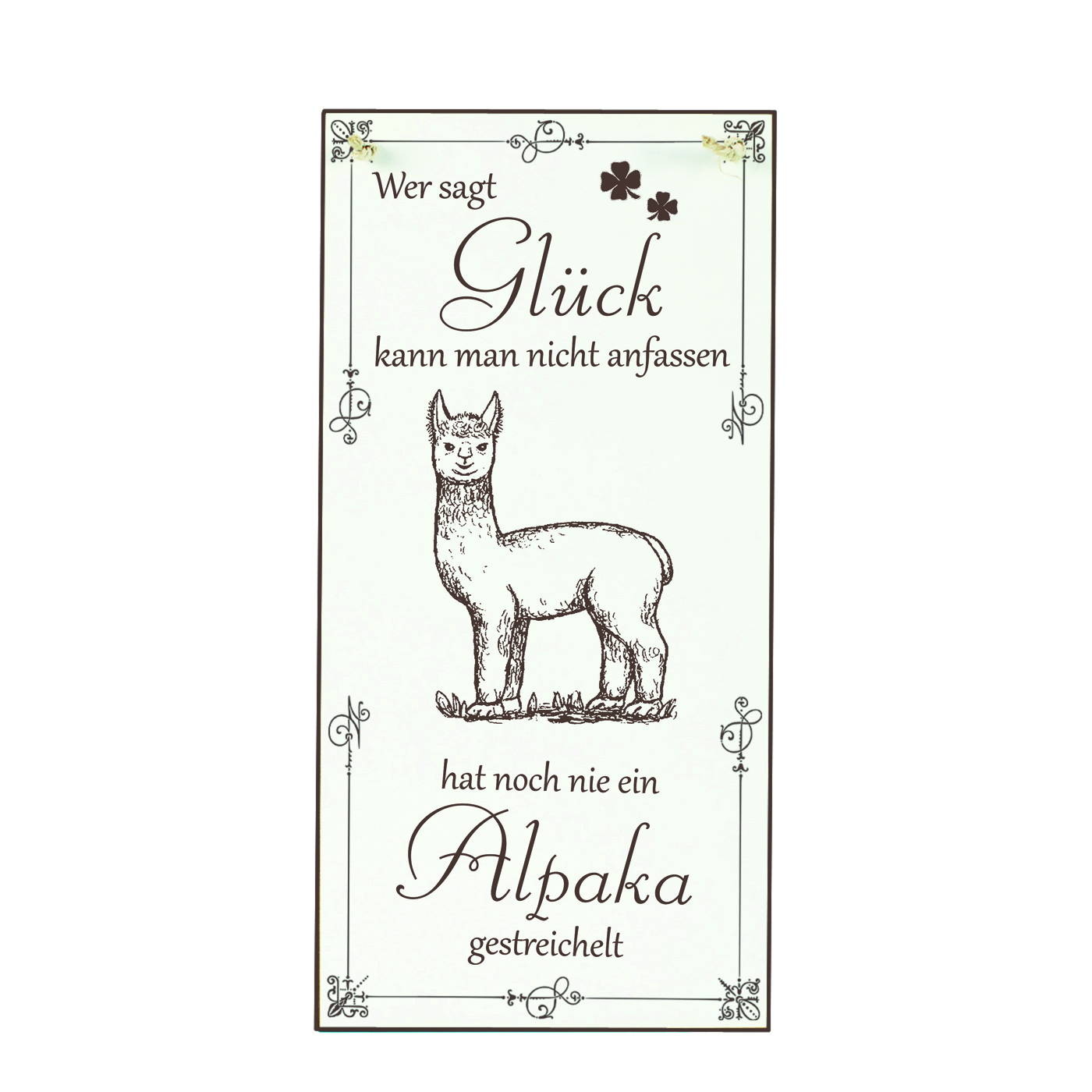 Schild Alpaka Glück kann man streicheln Spruch - Vintage Dekoschild Tiere Türschild  10 x 20 cm 