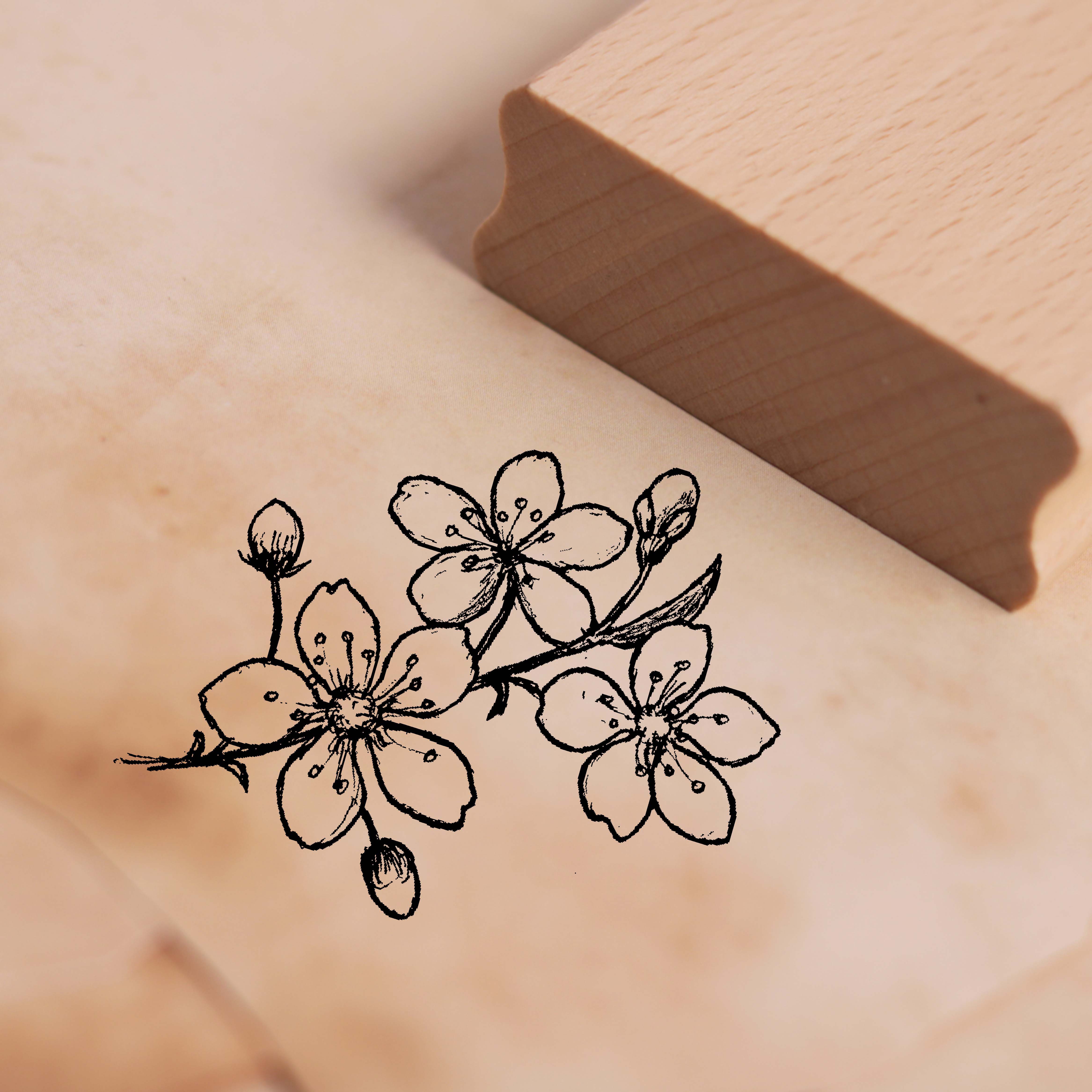Motivstempel Zweig mit Kirschblüten Stempel Blüten Knospen 48 x 38 mm