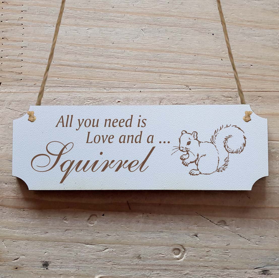 Dekoschild « All you need is Love and a Squirrel » Eichhörnchen 1