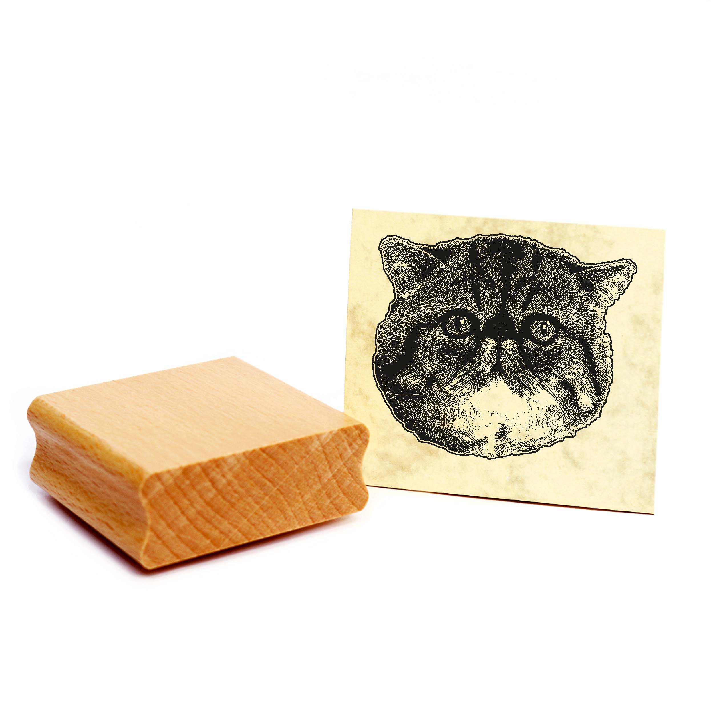 Motivstempel Exotic Shorthair - Stempel Katze Holzstempel ca. 48 x 48 mm