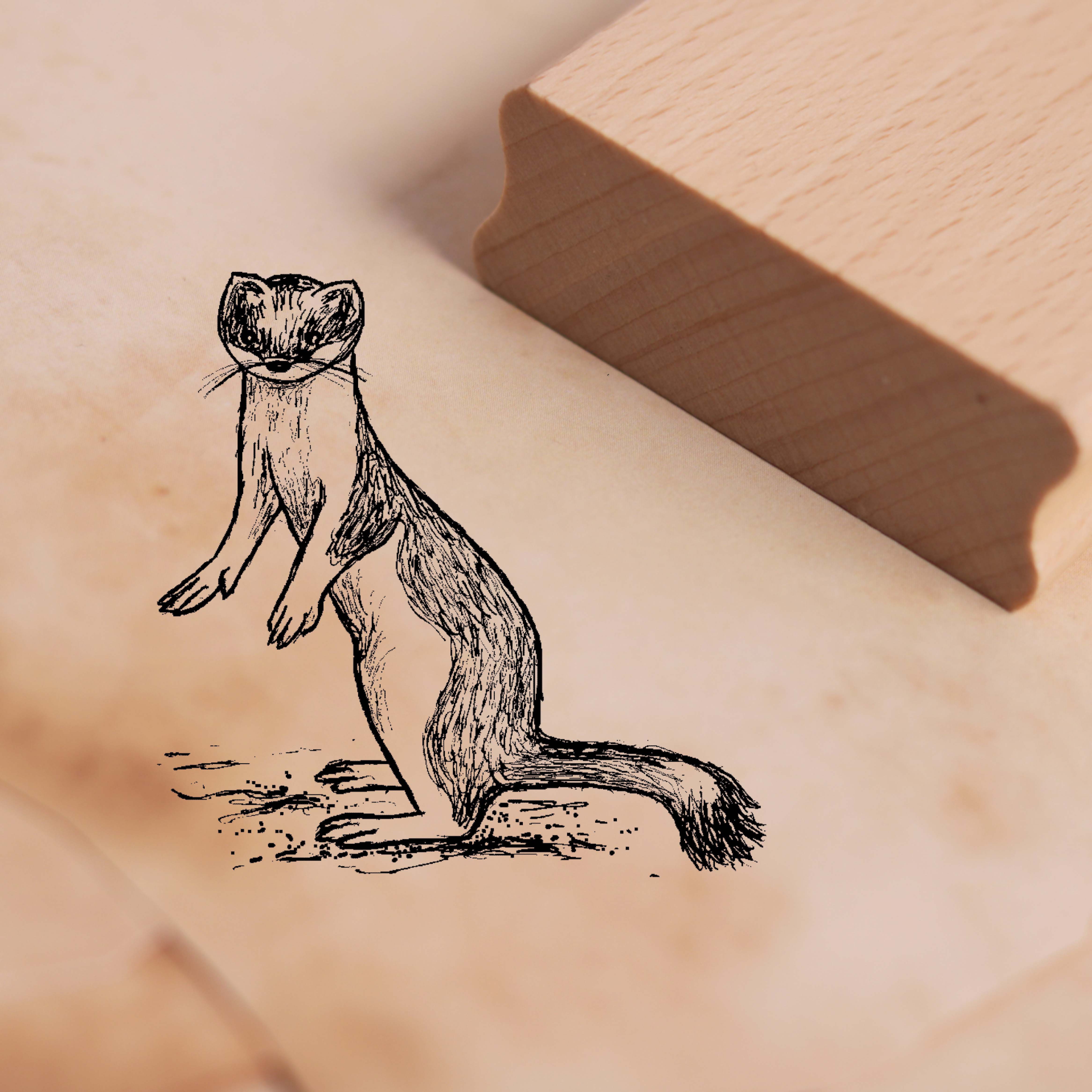 Motivstempel Hermelin Stempel Wiesel 38 x 38 mm