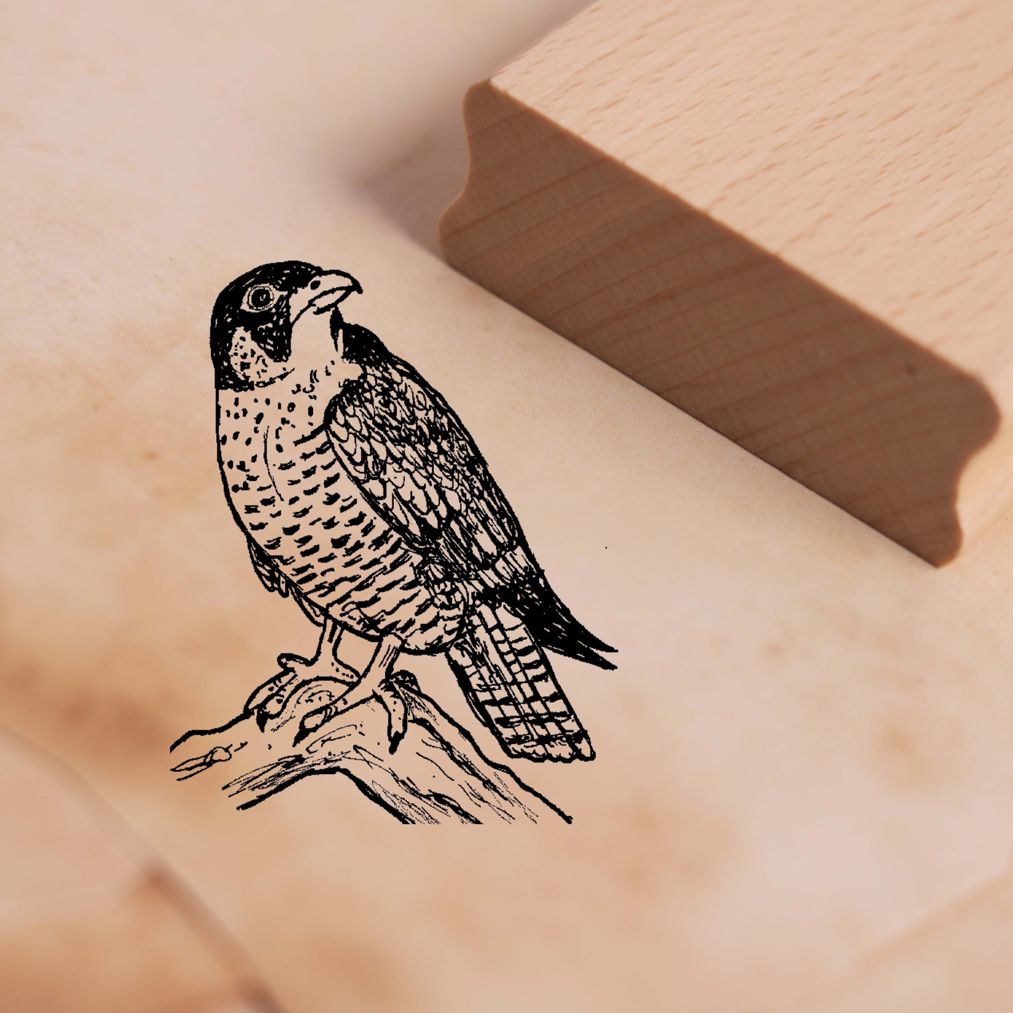 Motivstempel Wanderfalke - Stempel 38 x 48 mm