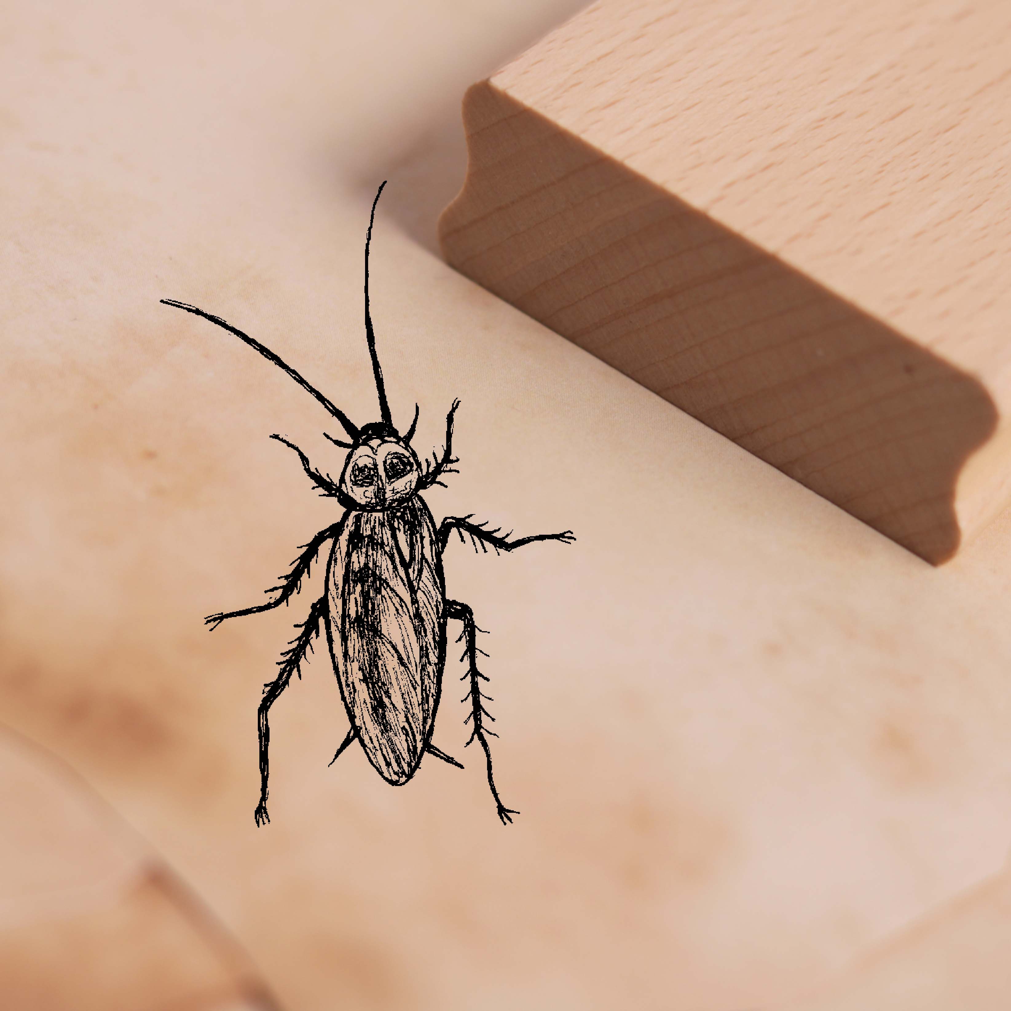 Motivstempel Kakerlake Küchenschabe - Stempel Holzstempel 38 x 58 mm