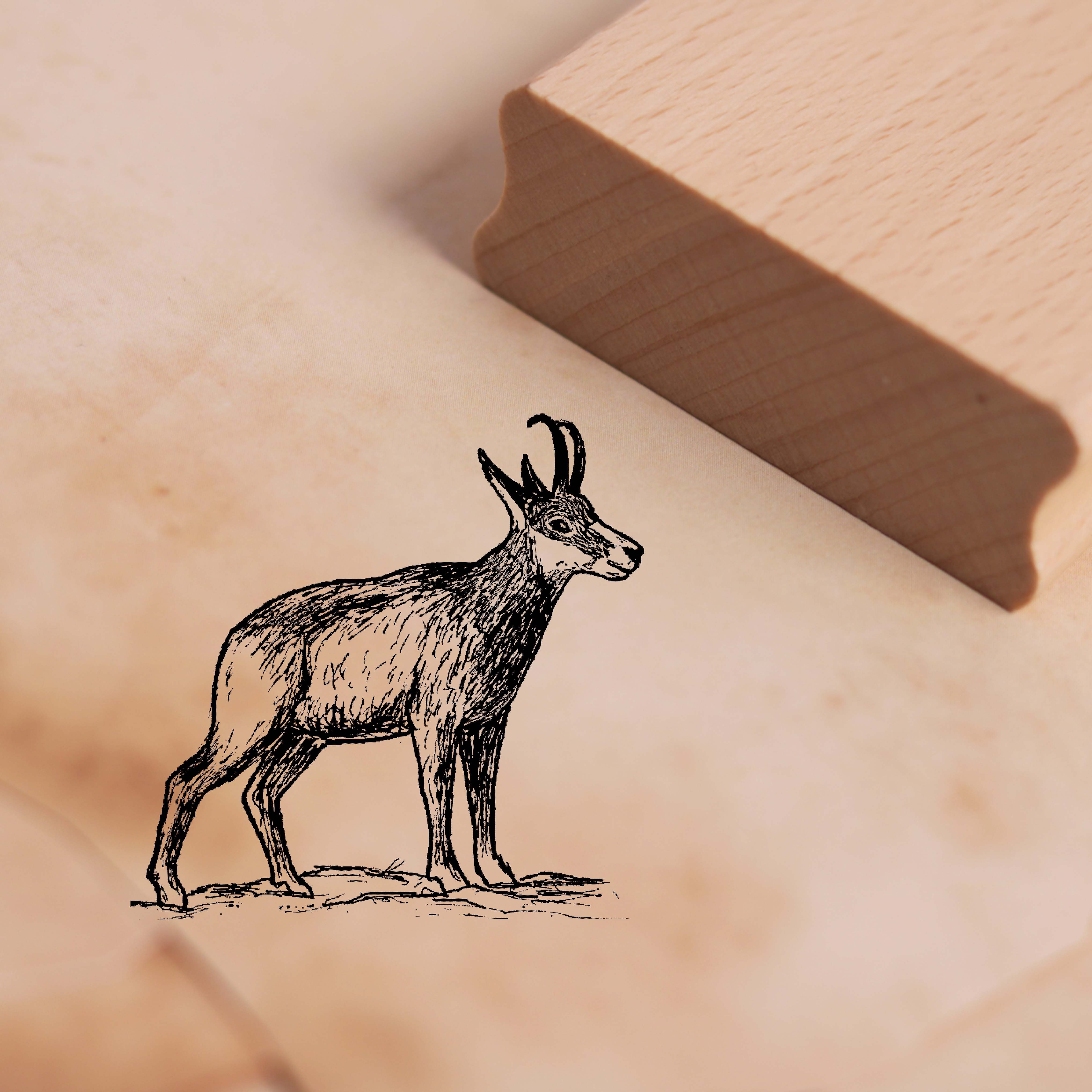 Motivstempel Gämse Stempel 48 x 48 mm