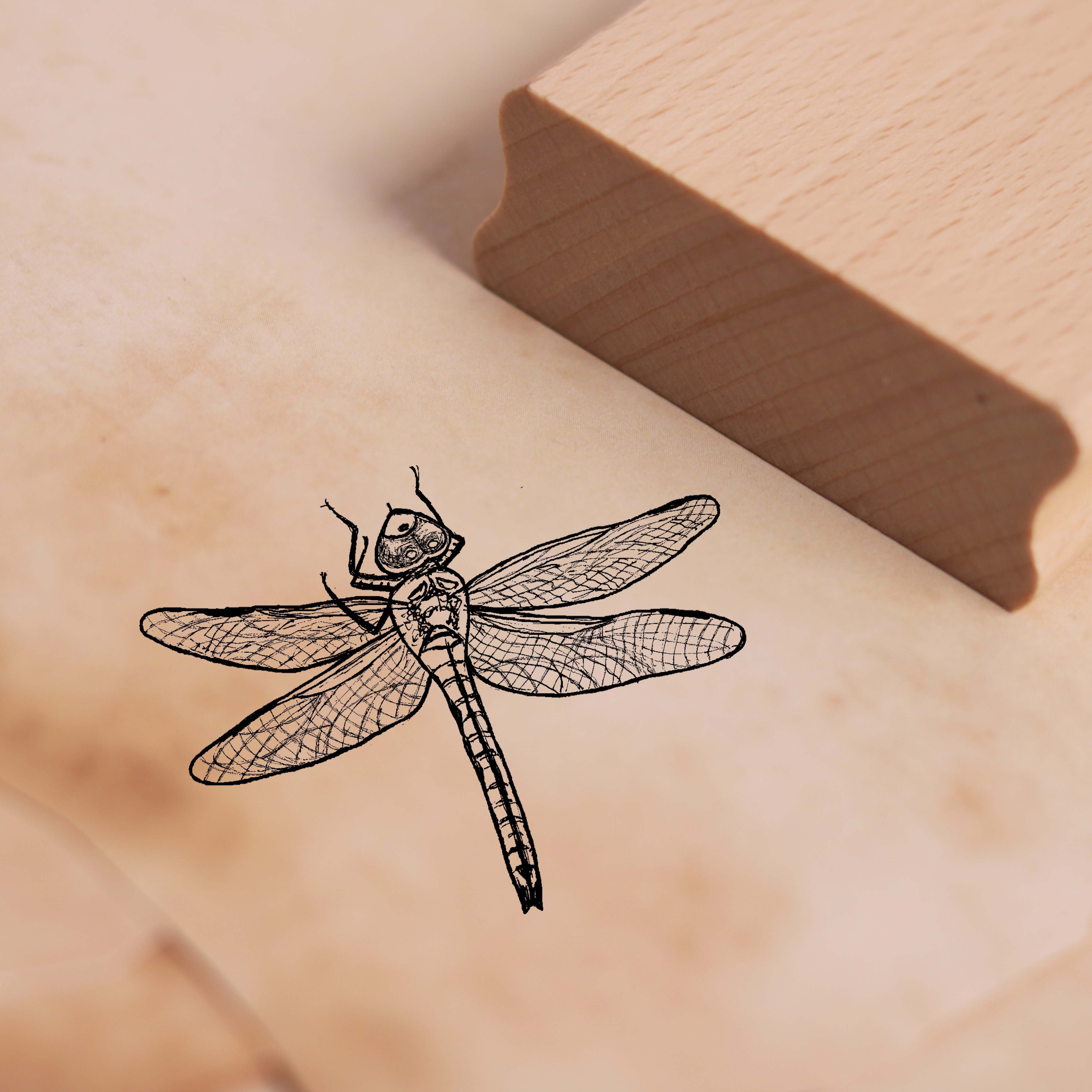 Motivstempel Königslibelle Stempel Libelle 38 x 28 mm