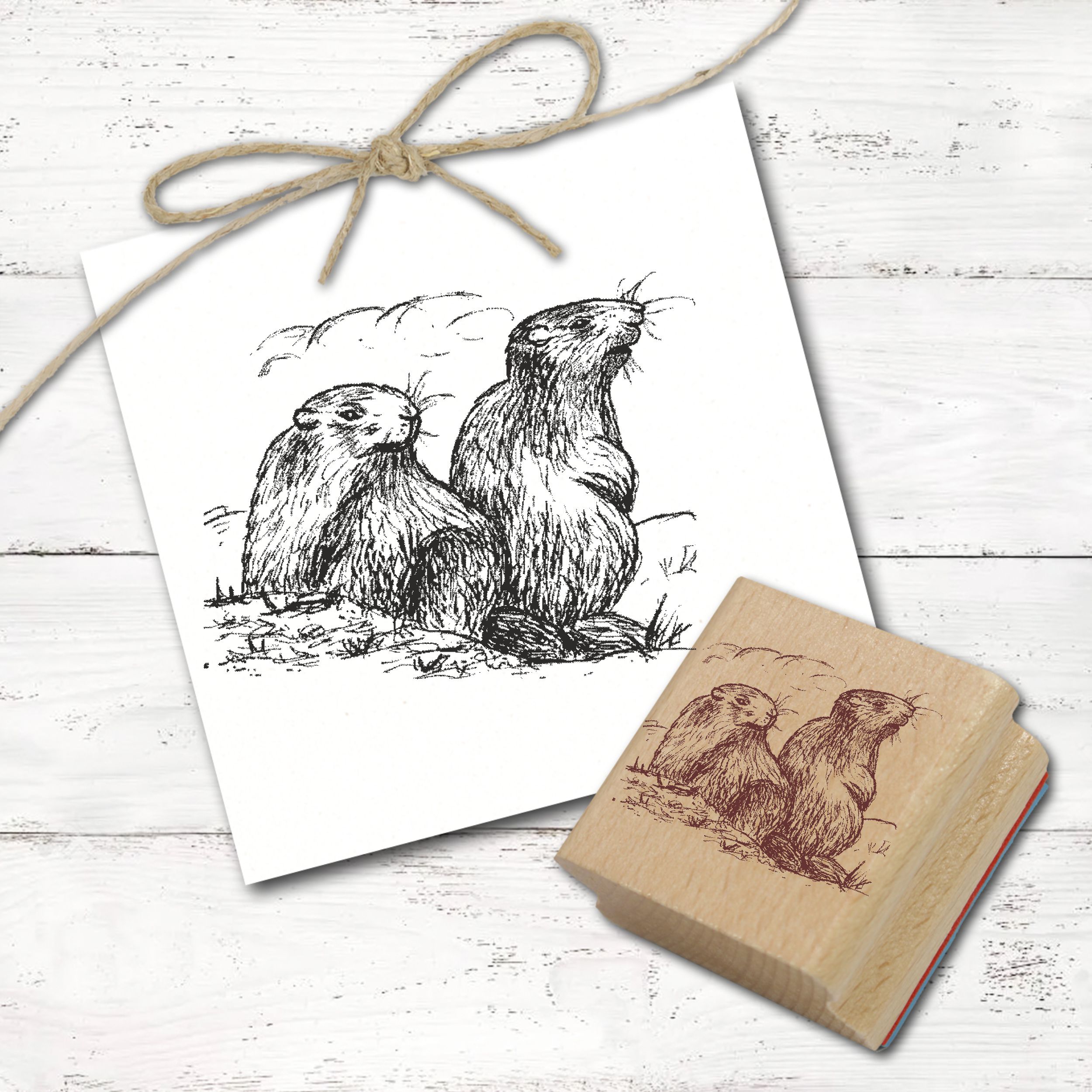 Motivstempel 2 Murmeltiere - Stempel Holzstempel 58 mm x 48 mm