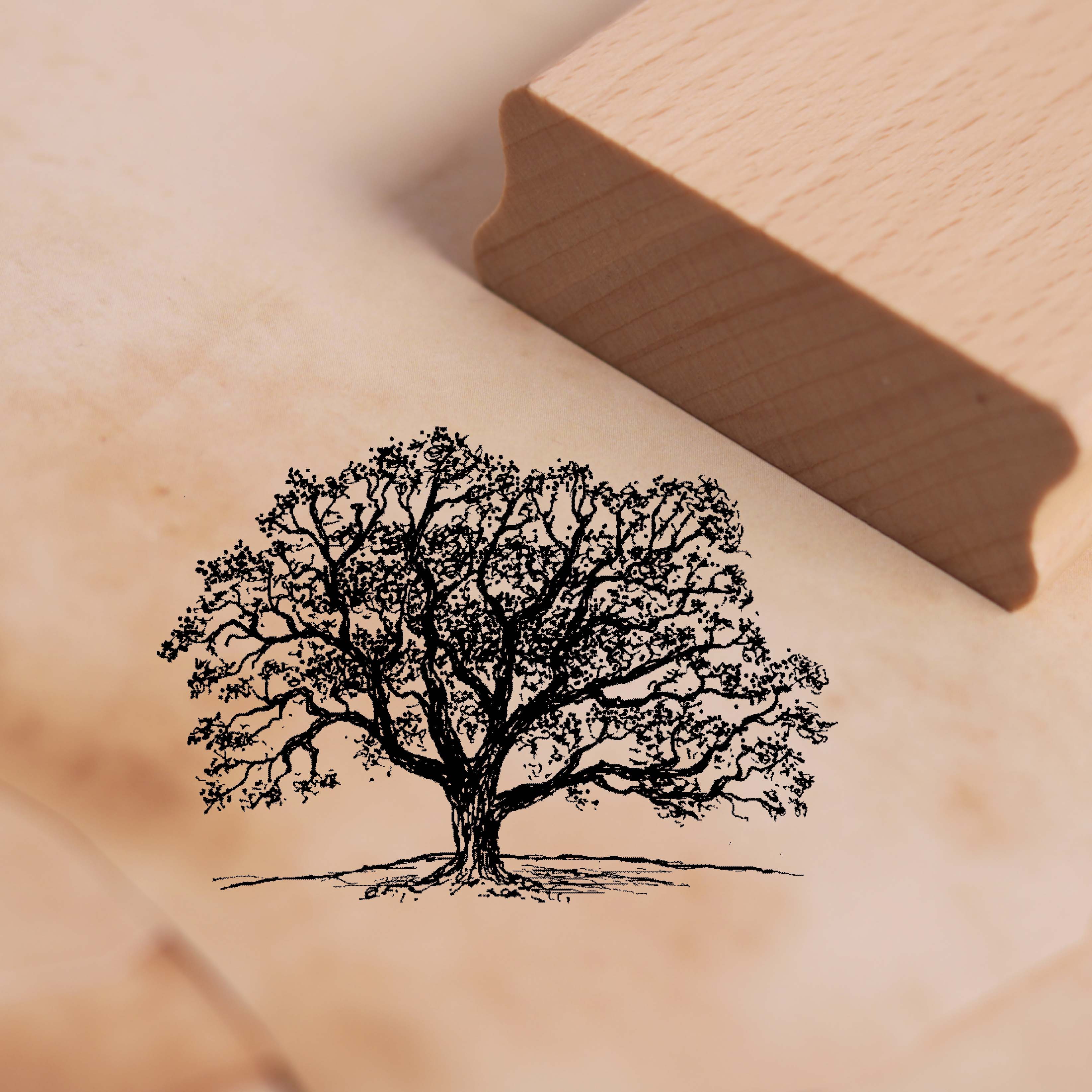 Motivstempel Eiche - Stempel Baum Holzstempel 68 x 48 mm