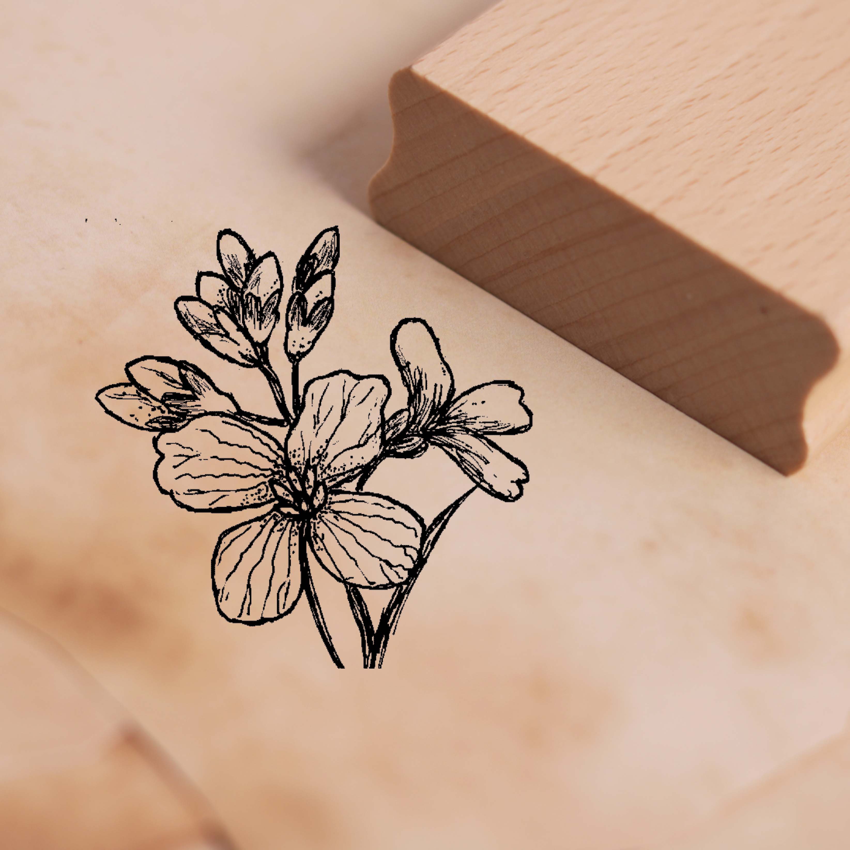 Motivstempel Wiesen-Schaumkraut - Stempel 38 x 38 mm