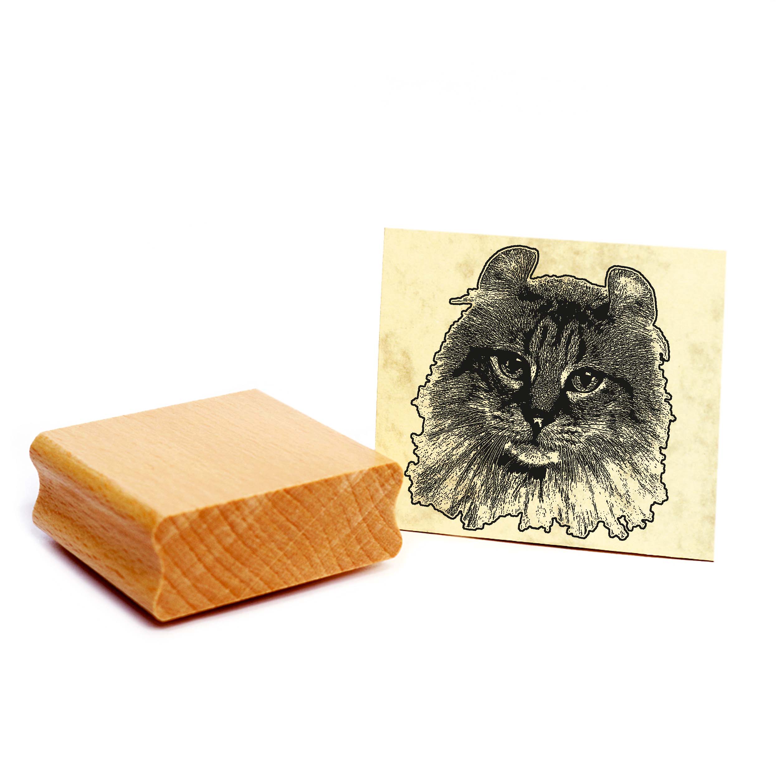 Motivstempel American Curl - Stempel Katze Holzstempel ca. 48 x 48 mm