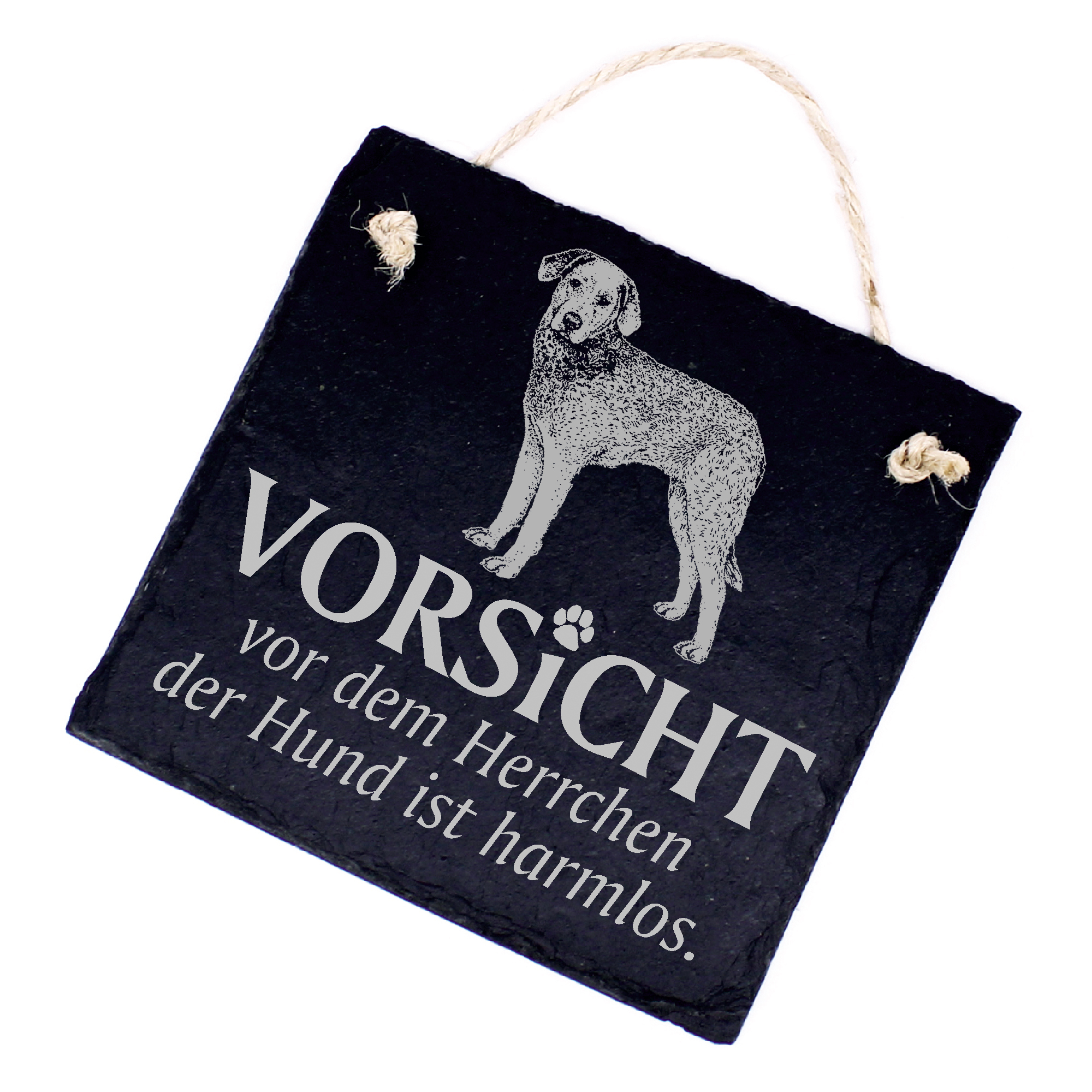 Hundeschild Chesapeake Bay Retriever Schild aus Schiefer - Vorsicht vor dem Herrchen - 11cm x 11cm