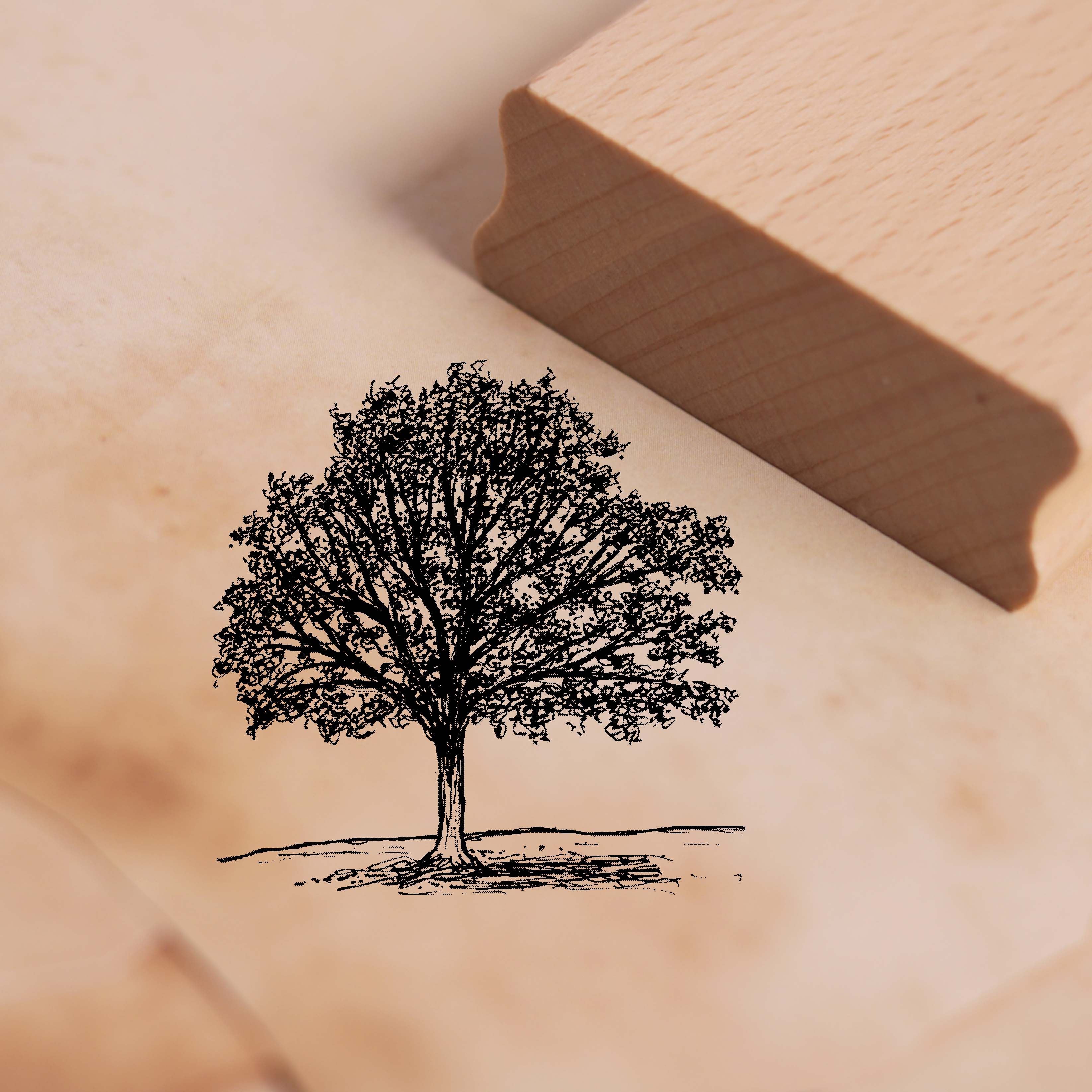 Motivstempel Ahornbaum - Stempel Ahorn Holzstempel Baum 48 x 48 mm