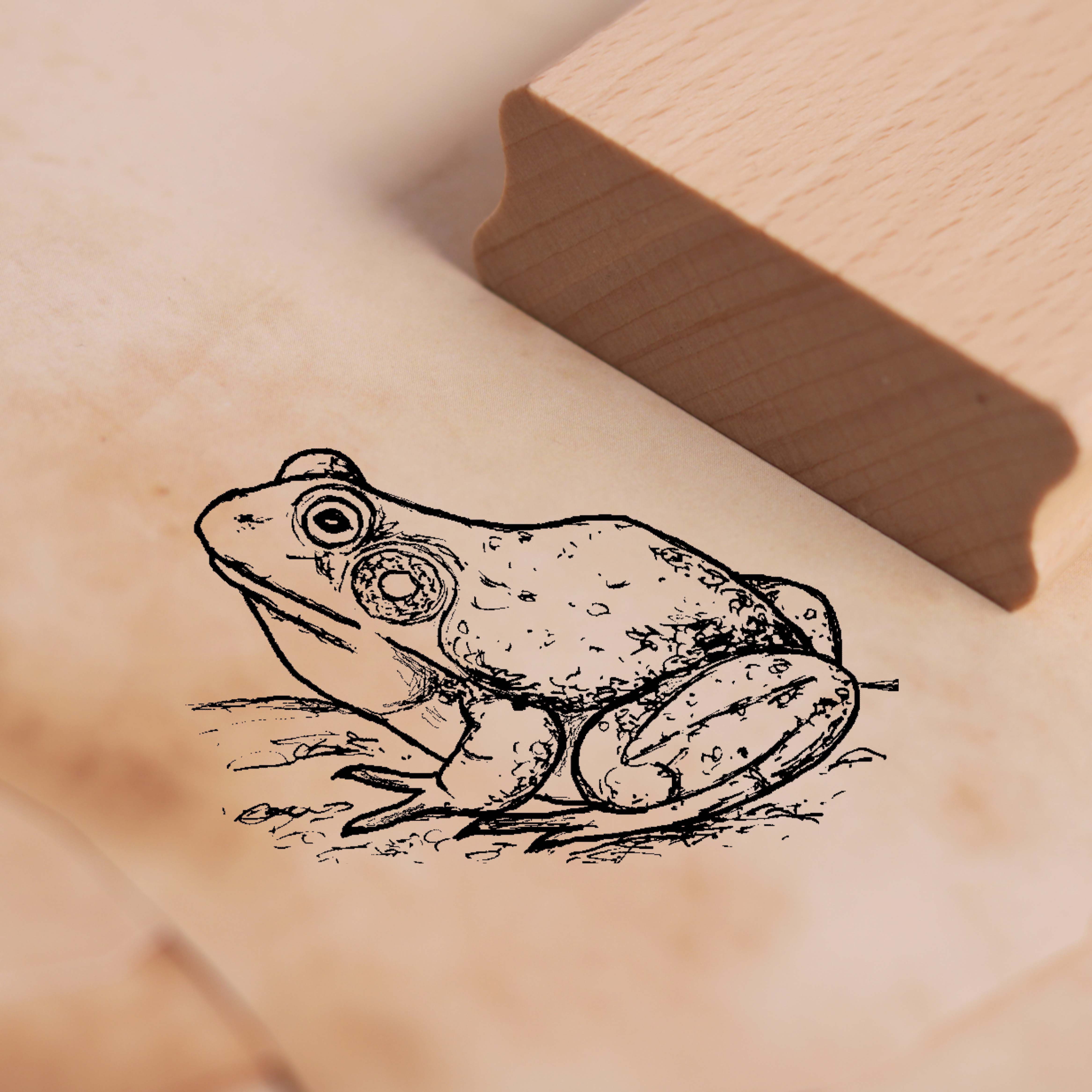 Motivstempel Ochsenfrosch sitzt - Stempel Frosch 47 x 28 mm