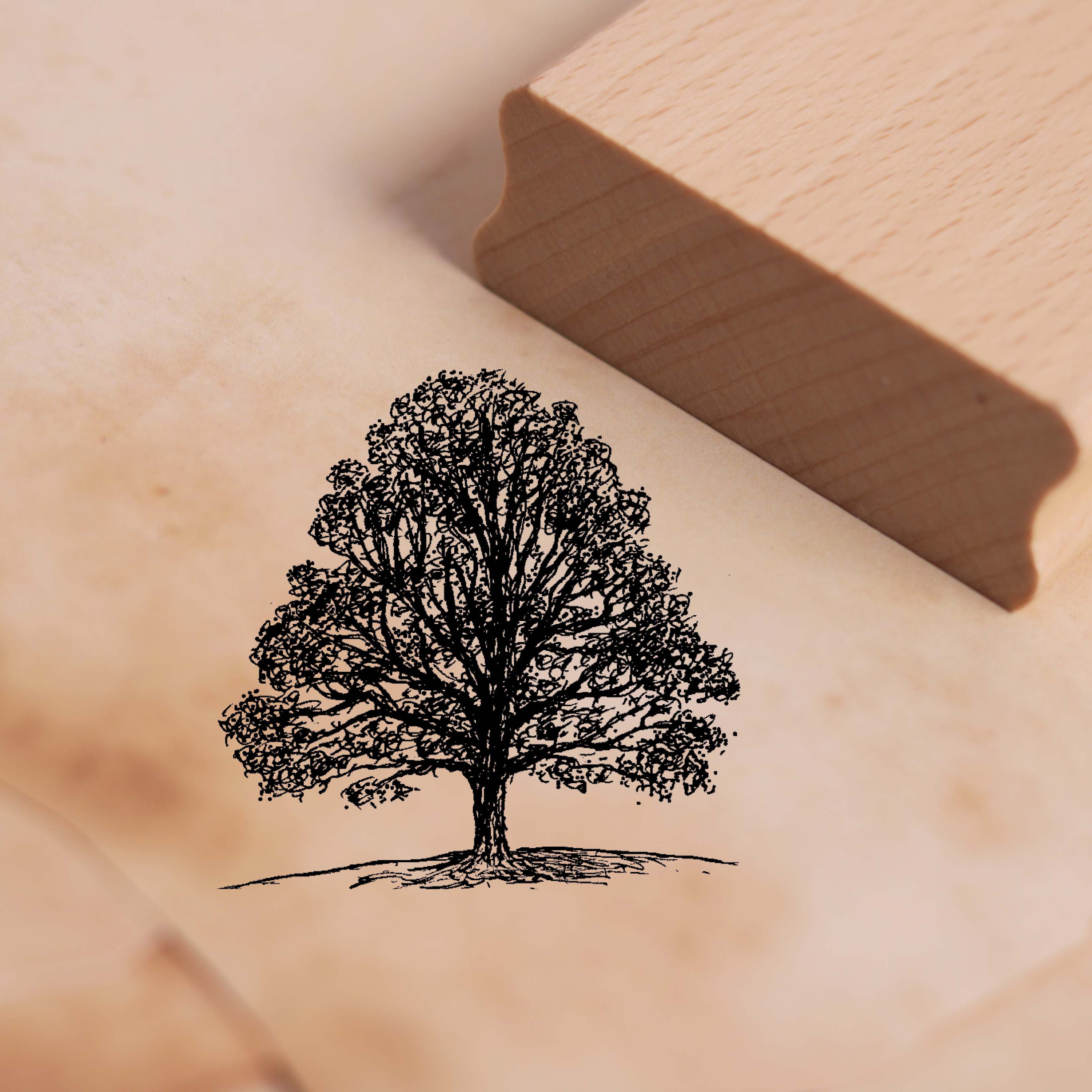 Motivstempel Linde - Stempel Baum Holzstempel 48 x 48 mm