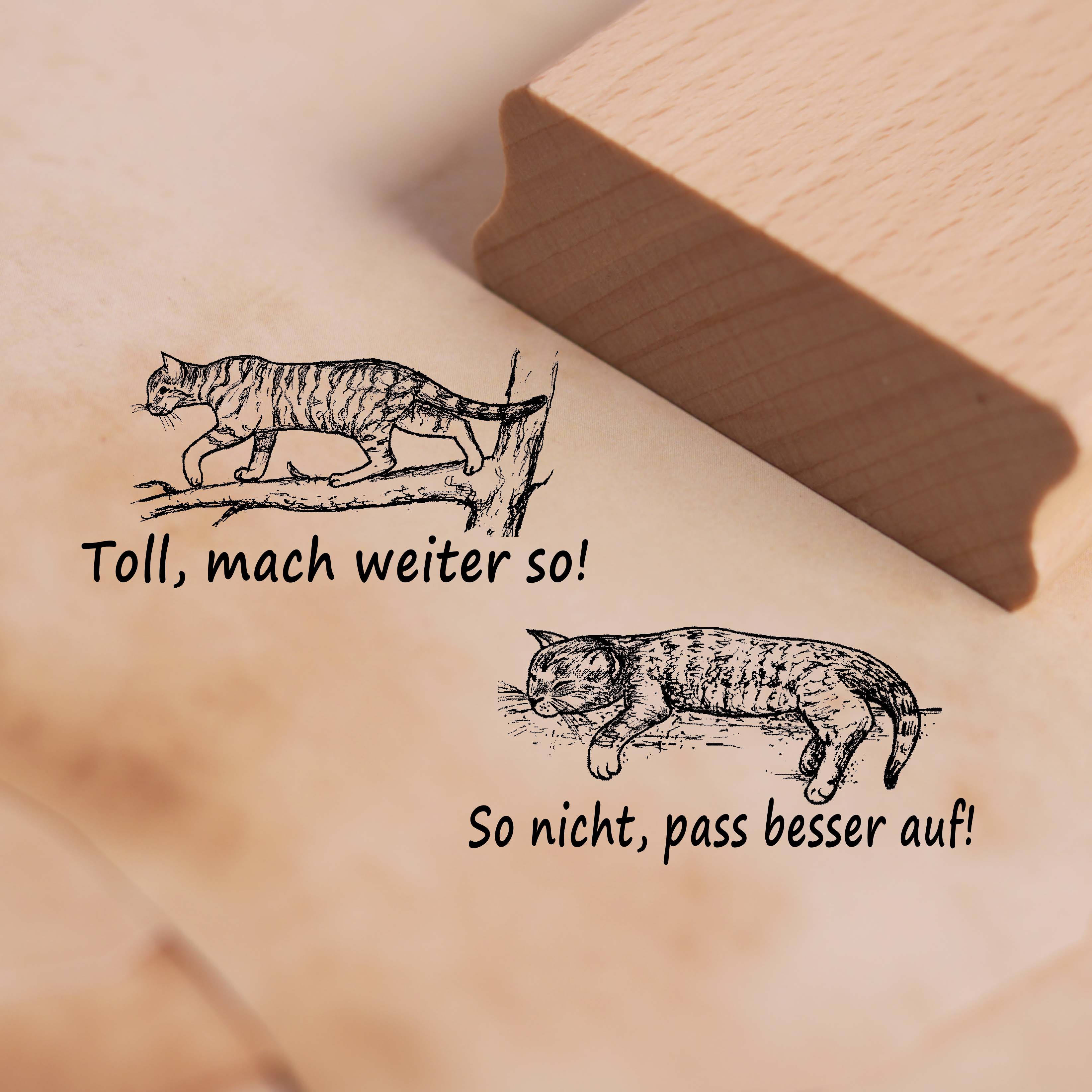 Lehrerstempel Katzen im Set - 2 Motivstempel mit Spruch und Motiv für Schule ca. 38 x 18 mm