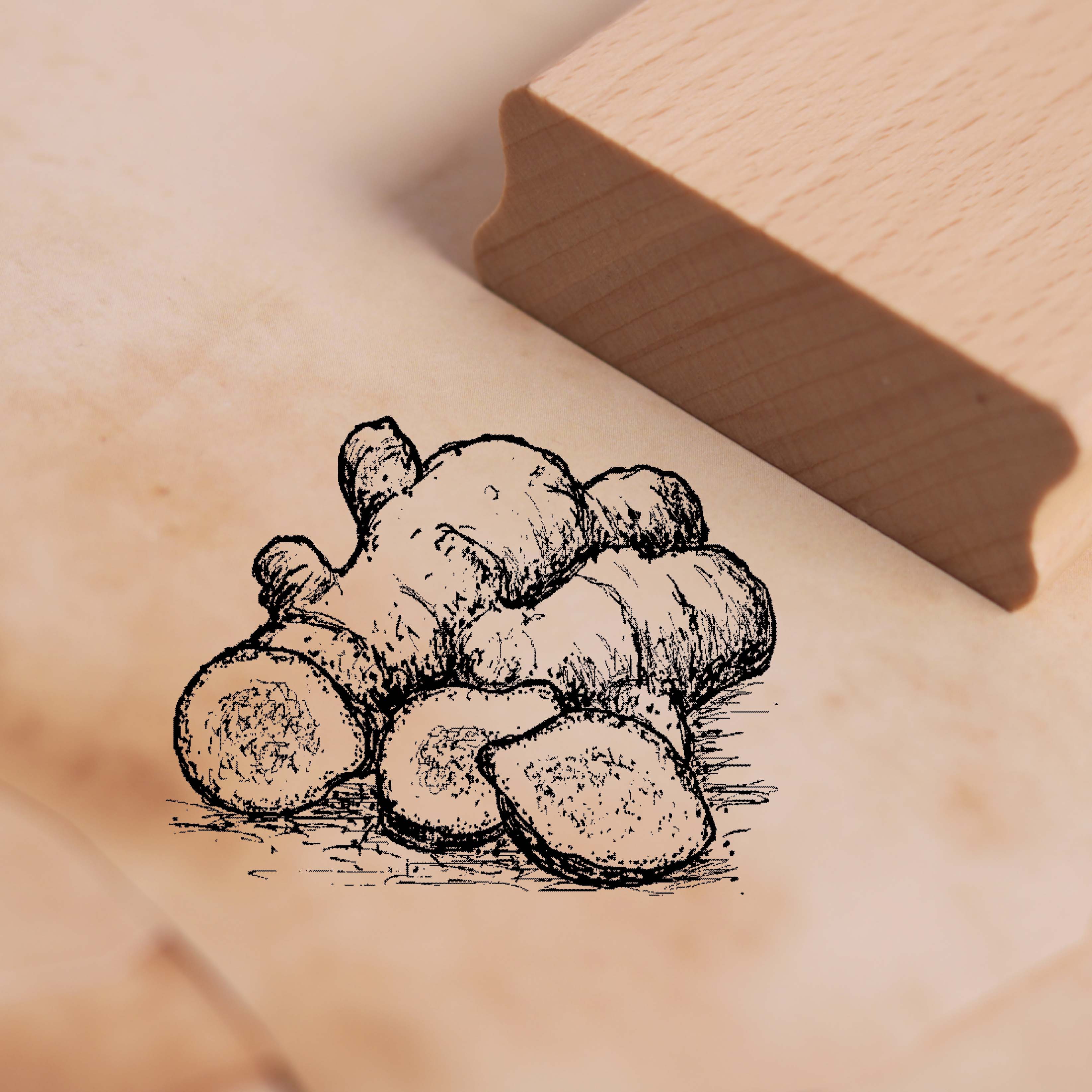 Motivstempel Ingwer - Stempel Holzstempel 48 x 38 mm