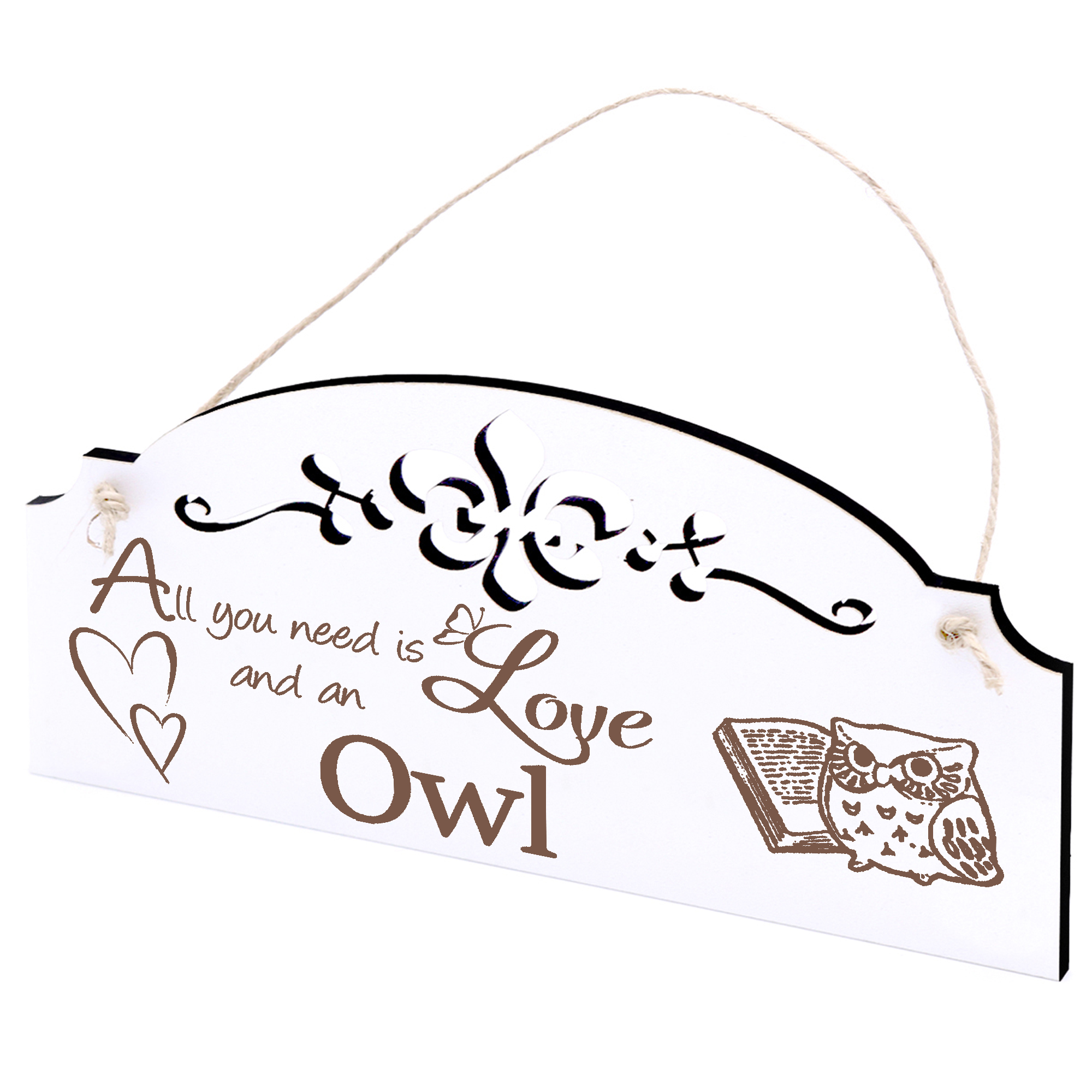 Schild Eule und Buch Deko 20x10cm - All you need is Love and an Owl - Holz