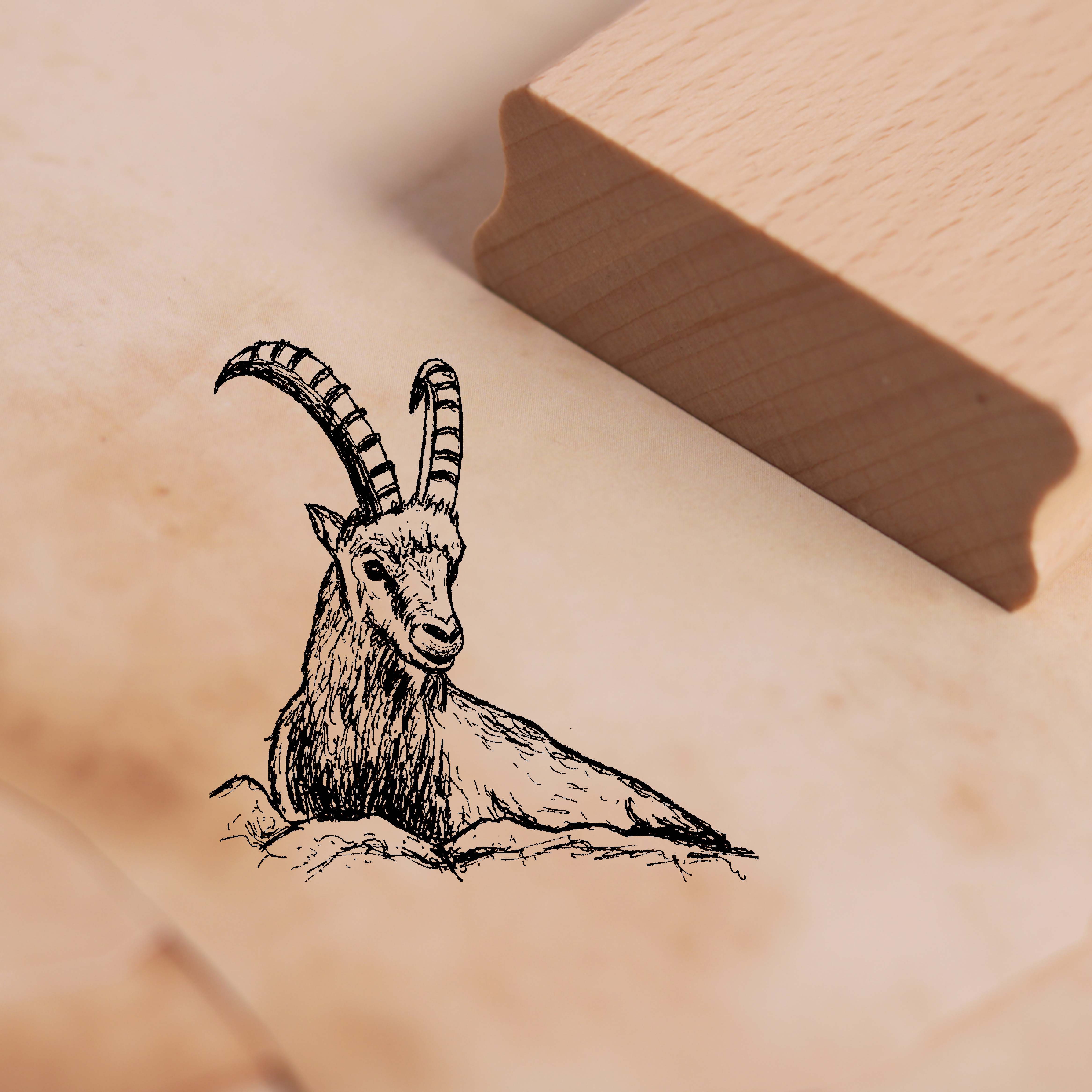 Motivstempel Steinbock liegt Stempel 48 x 48 mm