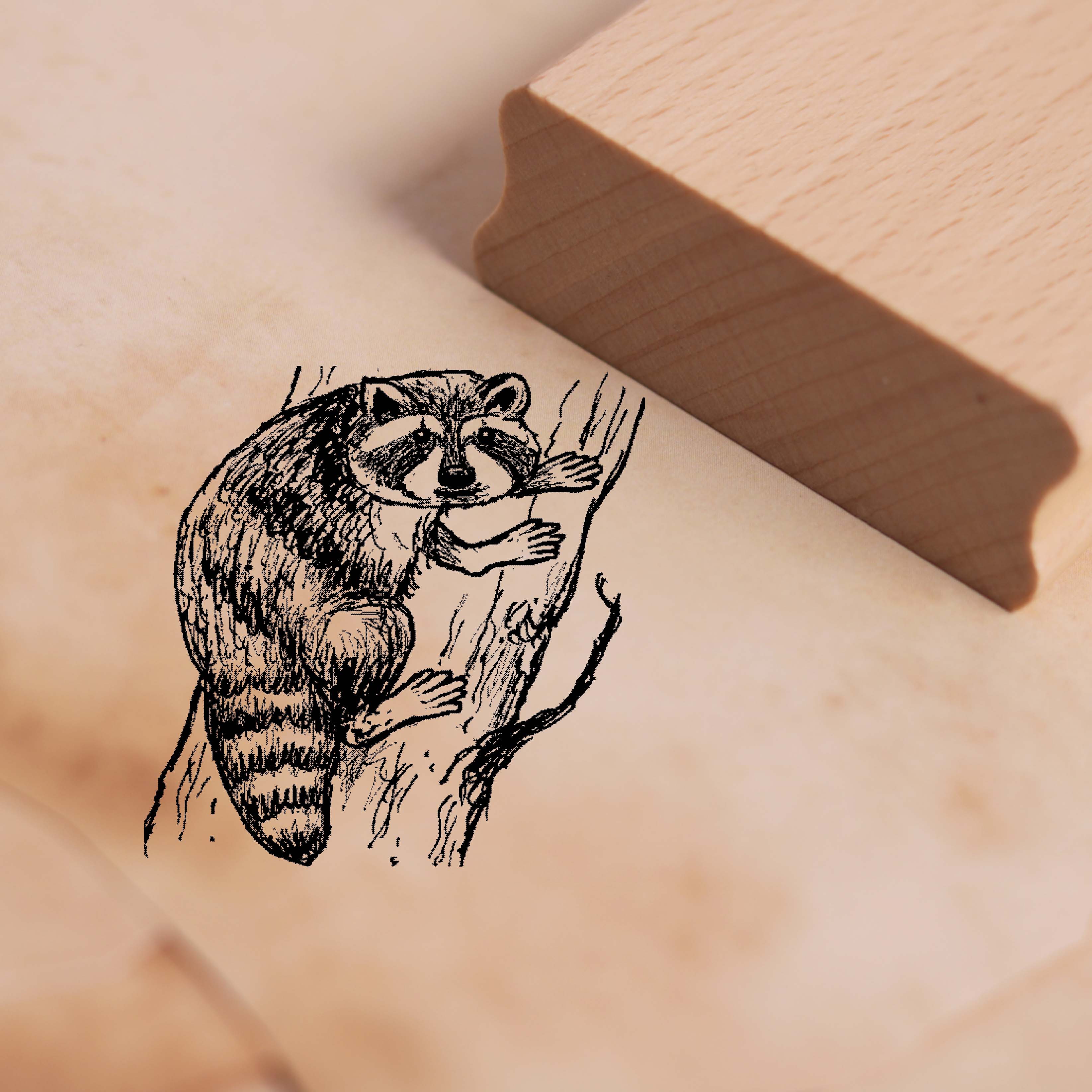 Motivstempel Kleiner Waschbär klettert am Baum - Stempel Holzstempel 38 x 38 mm