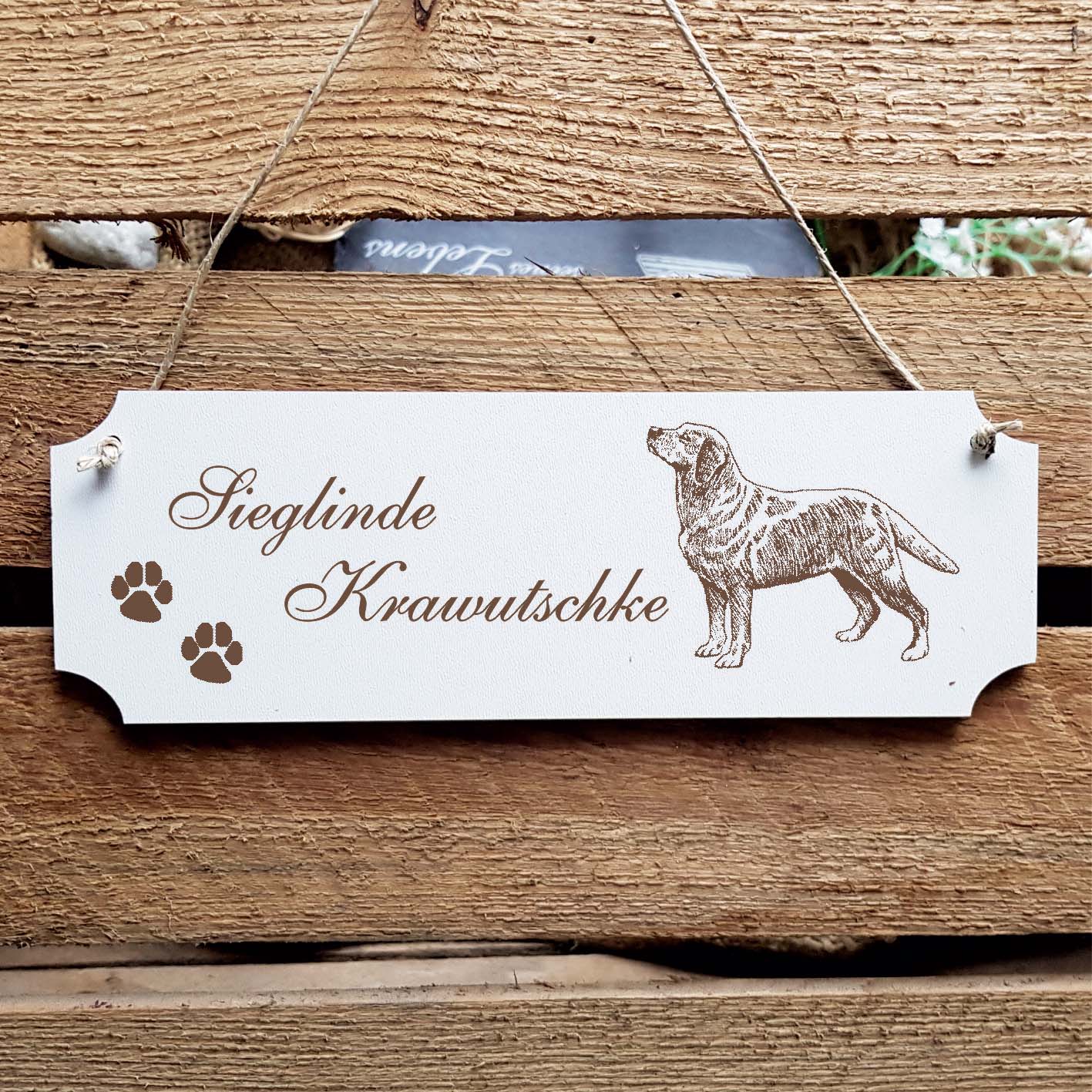 Schild « Labrador Retriever braun » Namensschild Türschild zum Anhängen - 20 x 6,7 cm