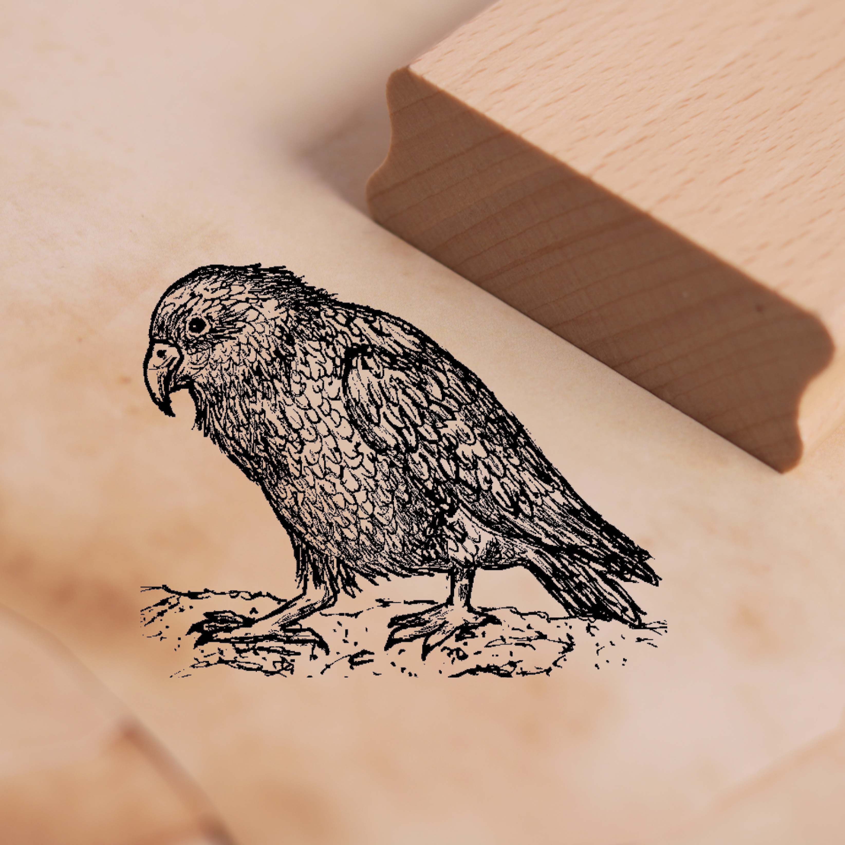 Motivstempel Kea - Papagei Stempel Holzstempel 48 x 38 mm