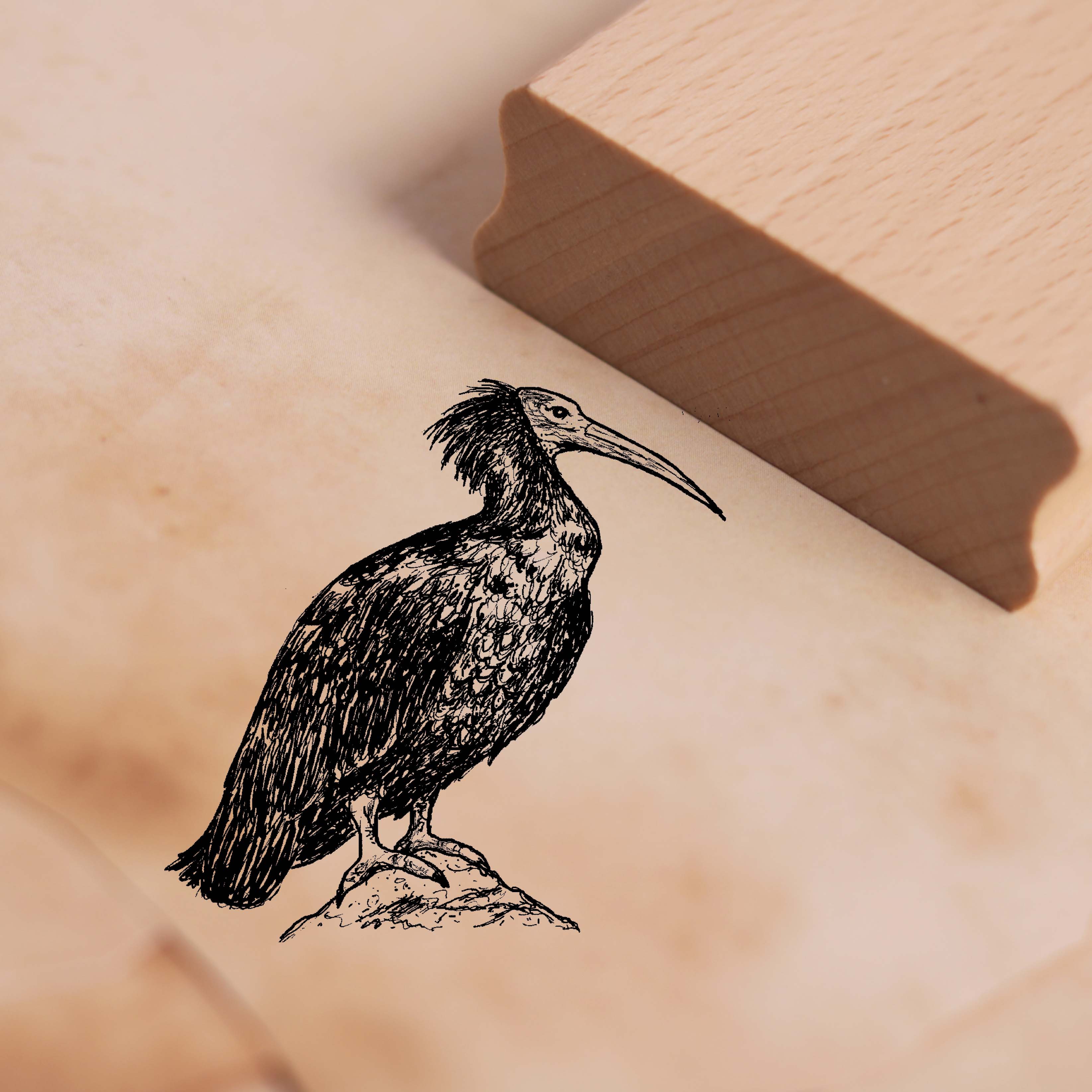 Motivstempel Waldrapp - Vogel Ibis Stempel 48 x 48 mm