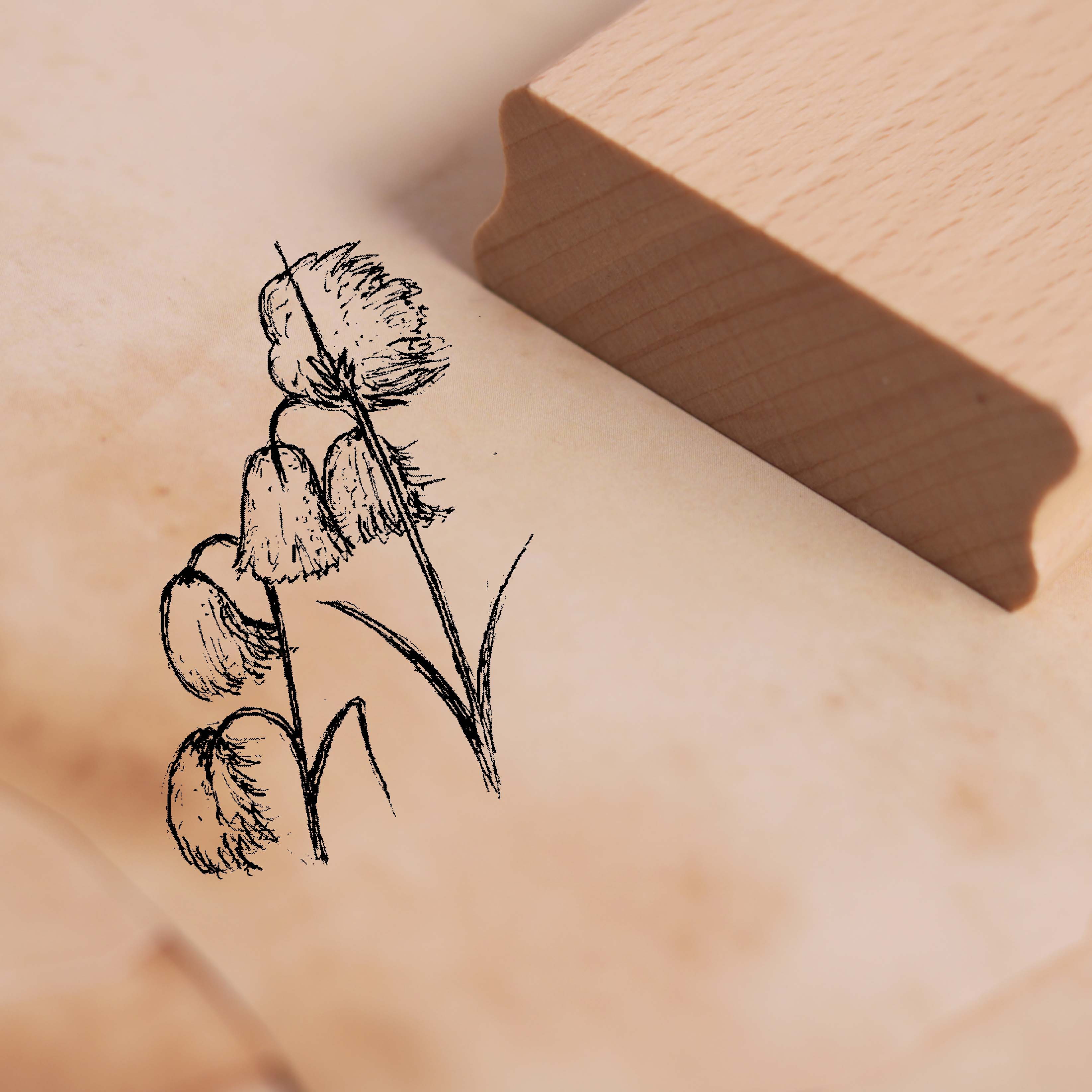 Motivstempel Cottongrass - Stempel 28 x 48 mm