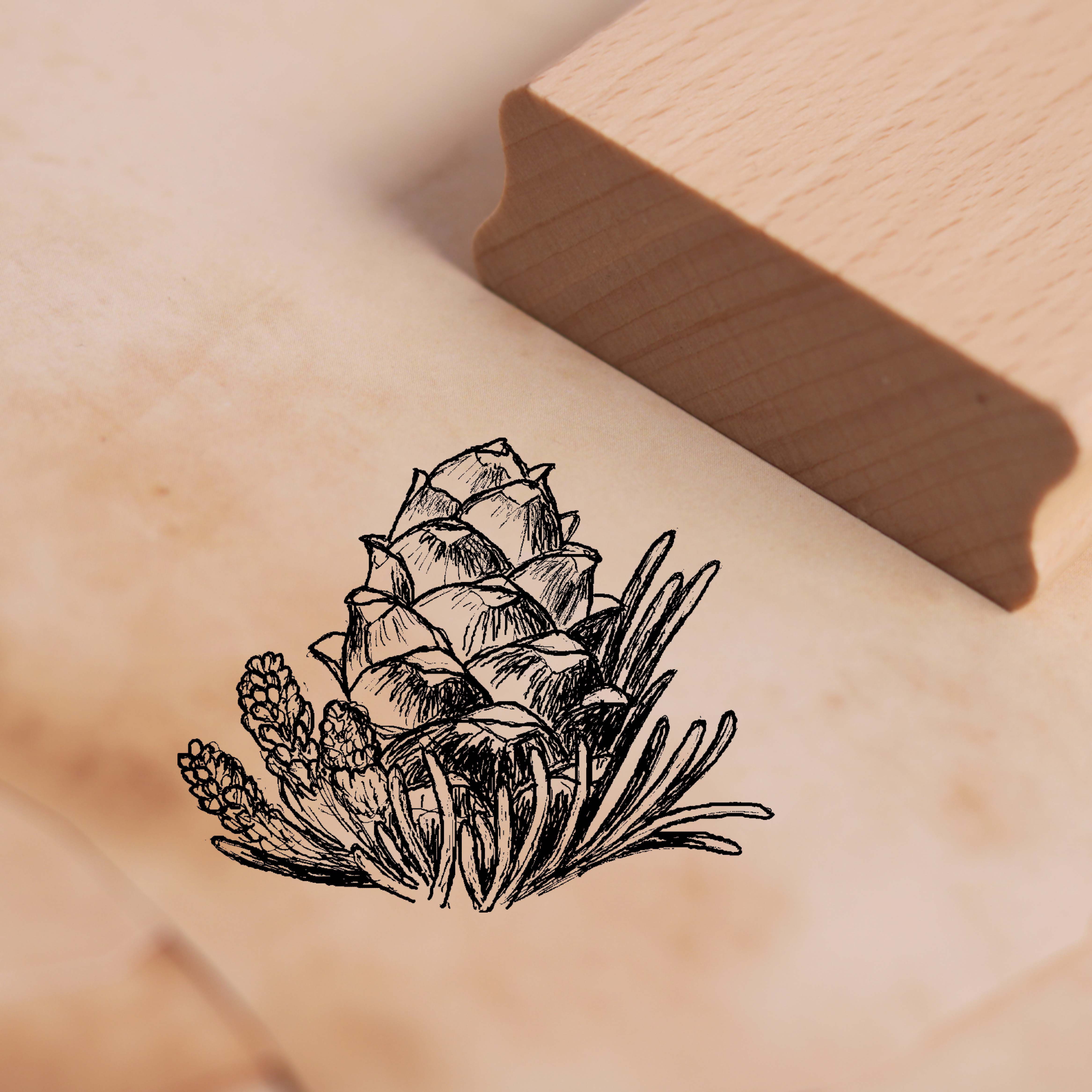 Motivstempel Zirbenzapfen Stempel Zirbe Zirbel 48 x 38 mm