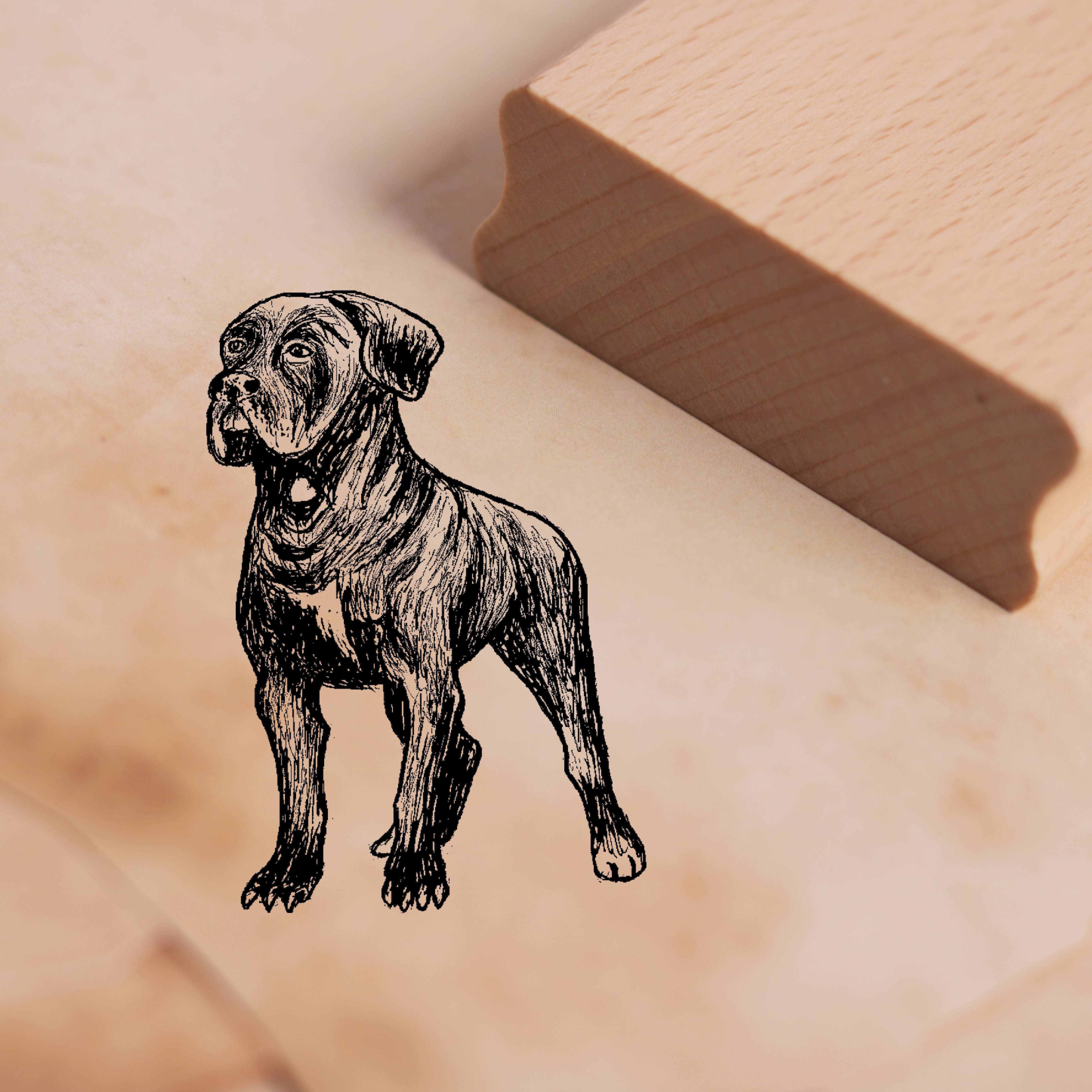 Motivstempel Cane Corso Stempel Hund 34 x 48 mm