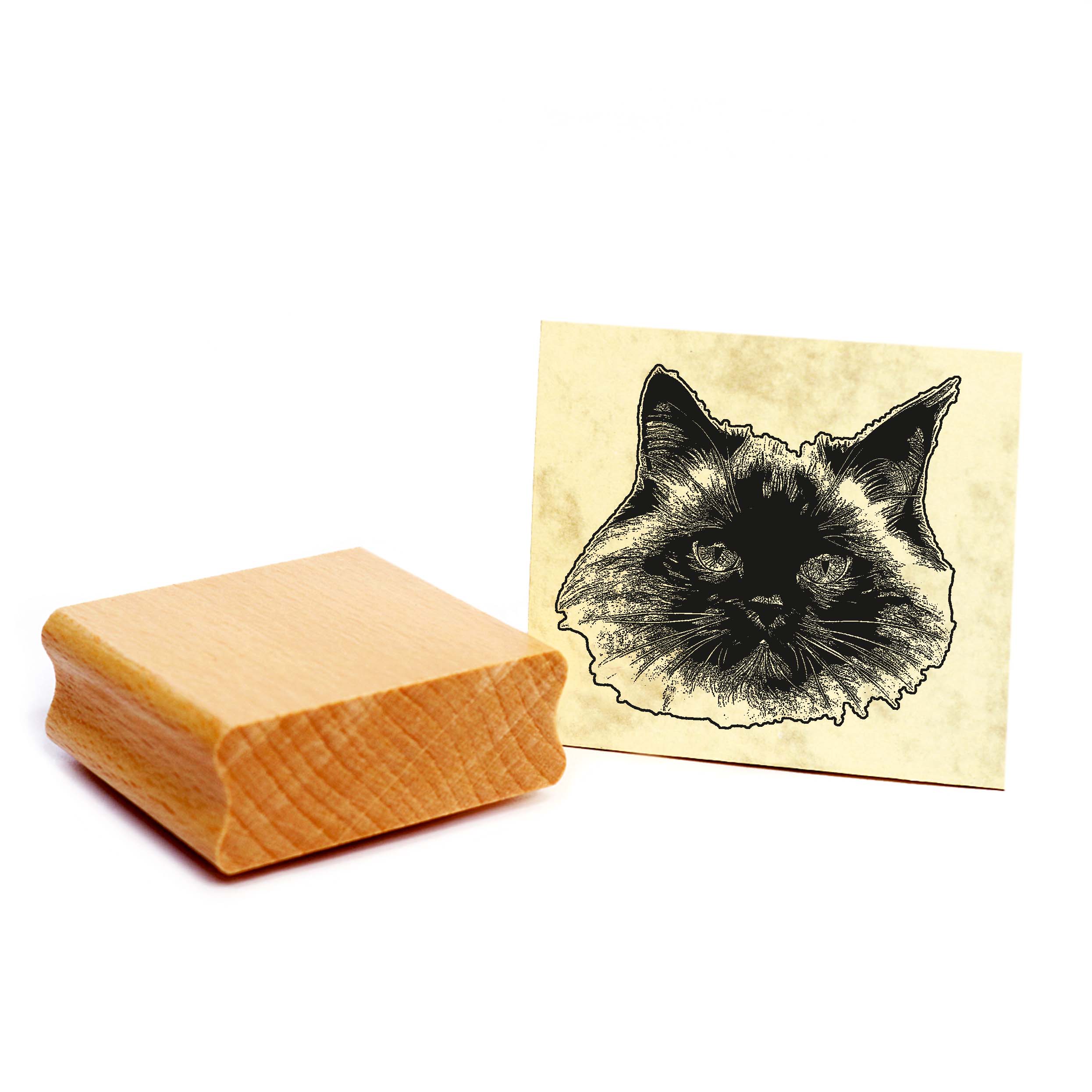 Motivstempel Himalaya-Katze - Stempel Katze Holzstempel ca. 48 x 48 mm