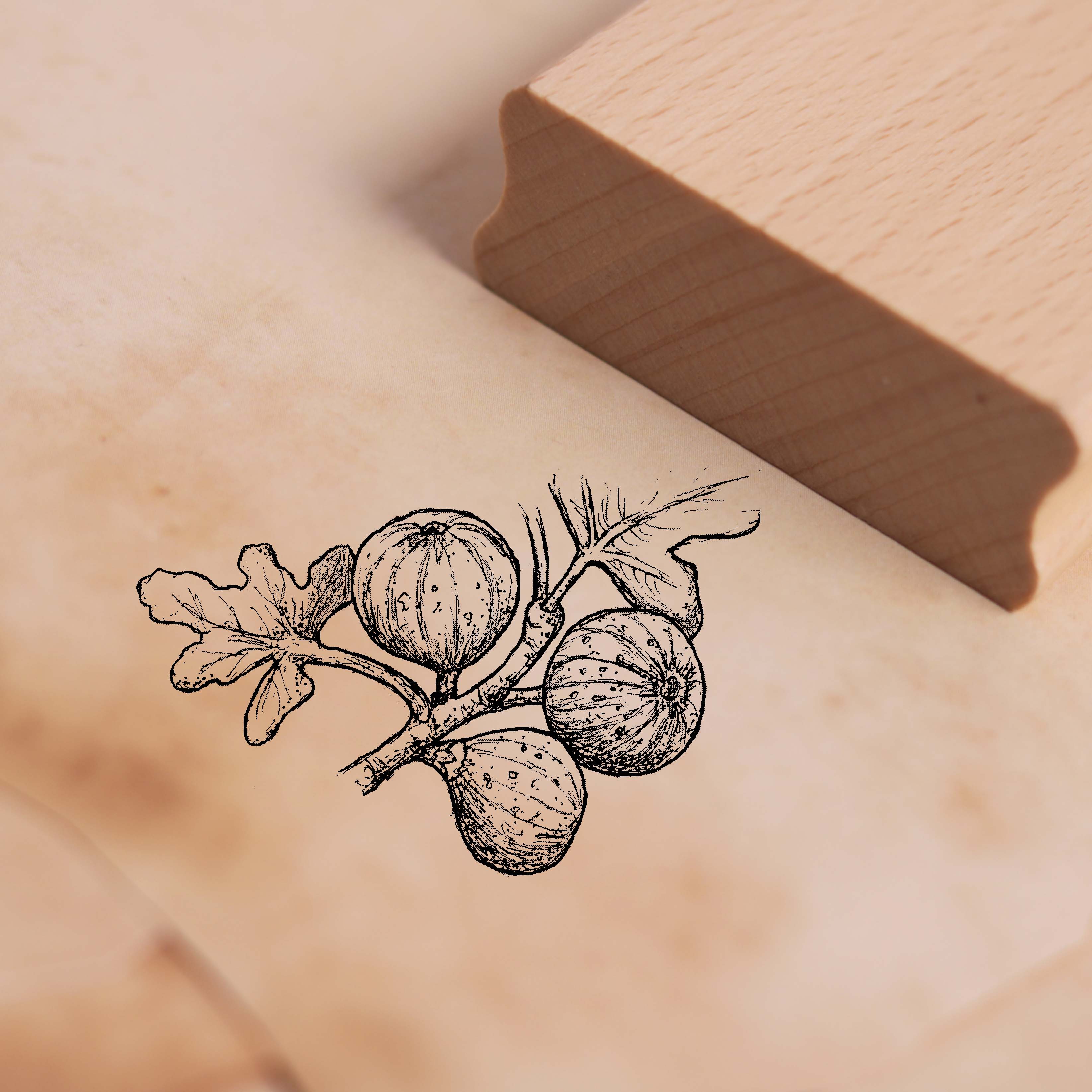 Motivstempel Feigen am Baum - Stempel Holzstempel 58 x 38 mm 
