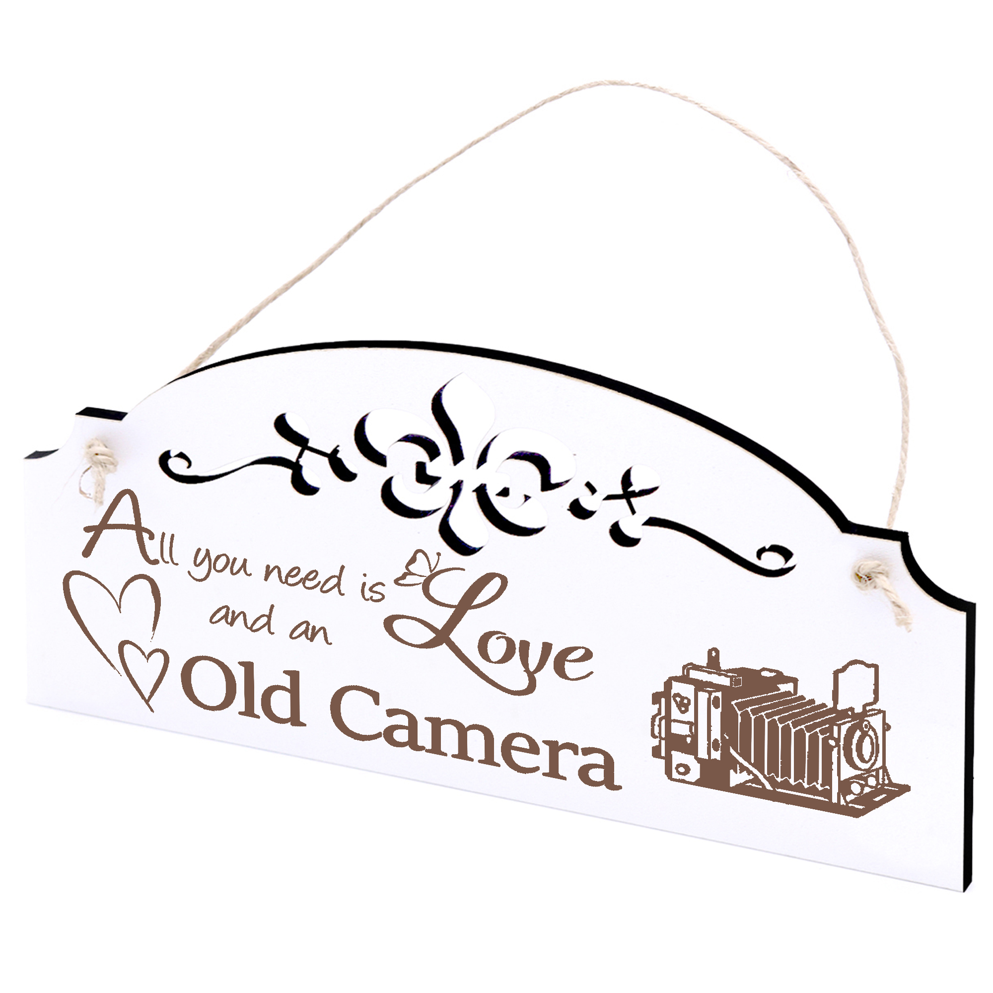 Schild alte Kamera Deko 20x10cm - All you need is Love and an Old Camera - Holz
