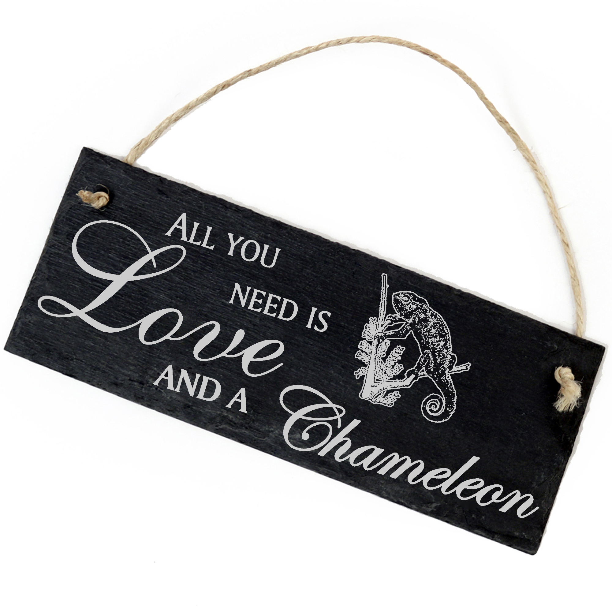Schiefertafel Deko Chamäleon Schild 22 x 8 cm - All you need is Love and a Chameleon