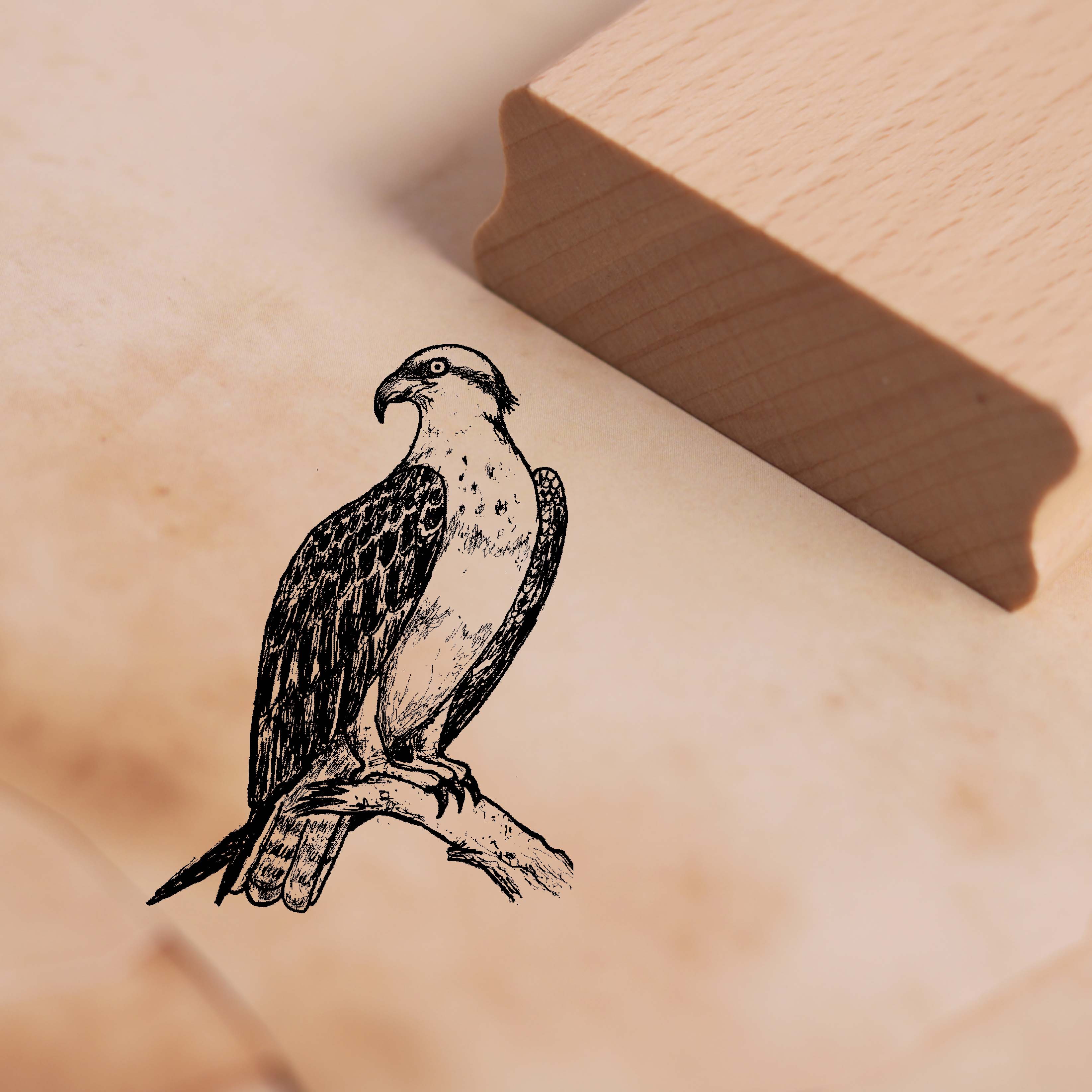 Motivstempel Fischadler - Seeadler Stempel 36 x 48 mm
