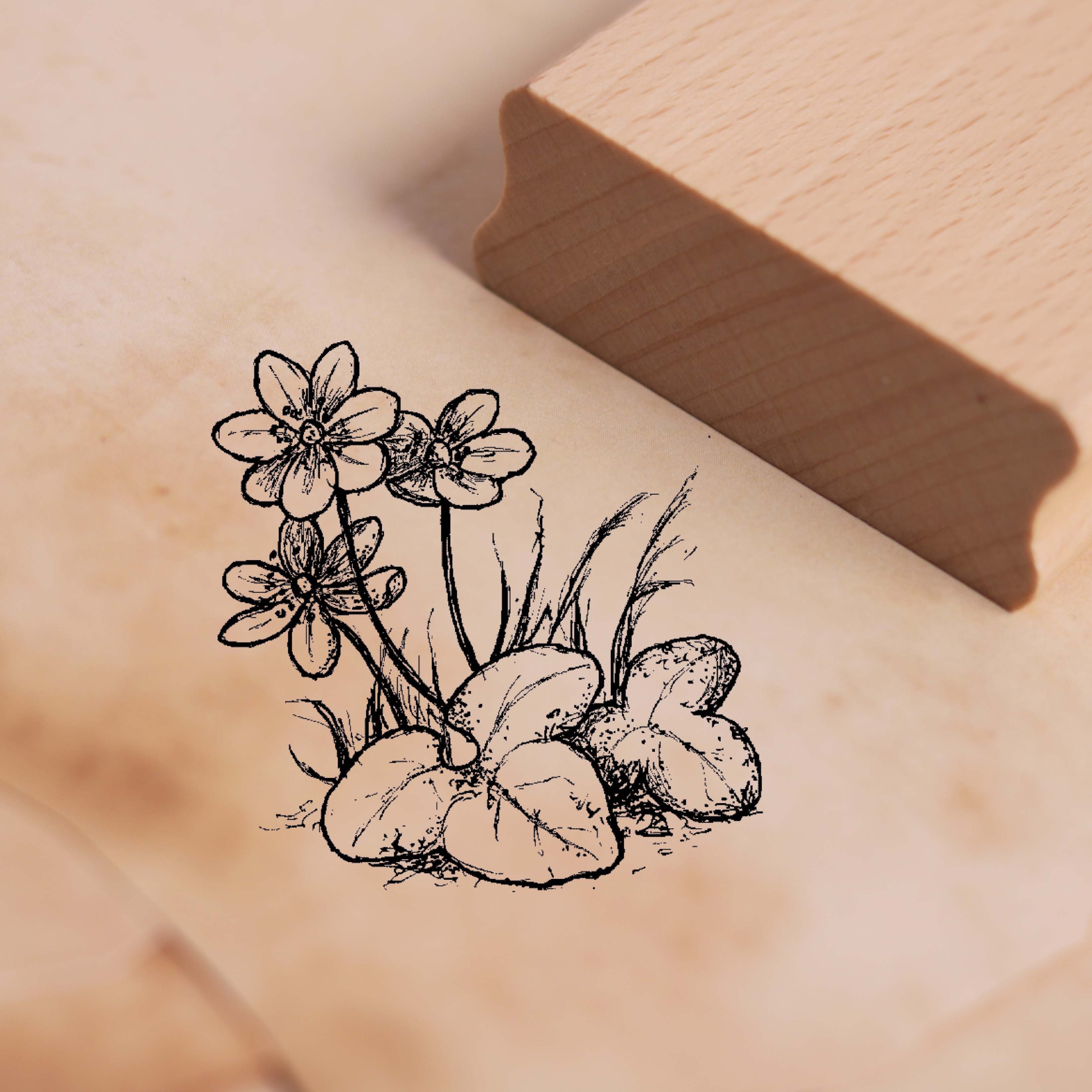Motivstempel Leberblümchen - Stempel Holzstempel 48 x 48 mm
