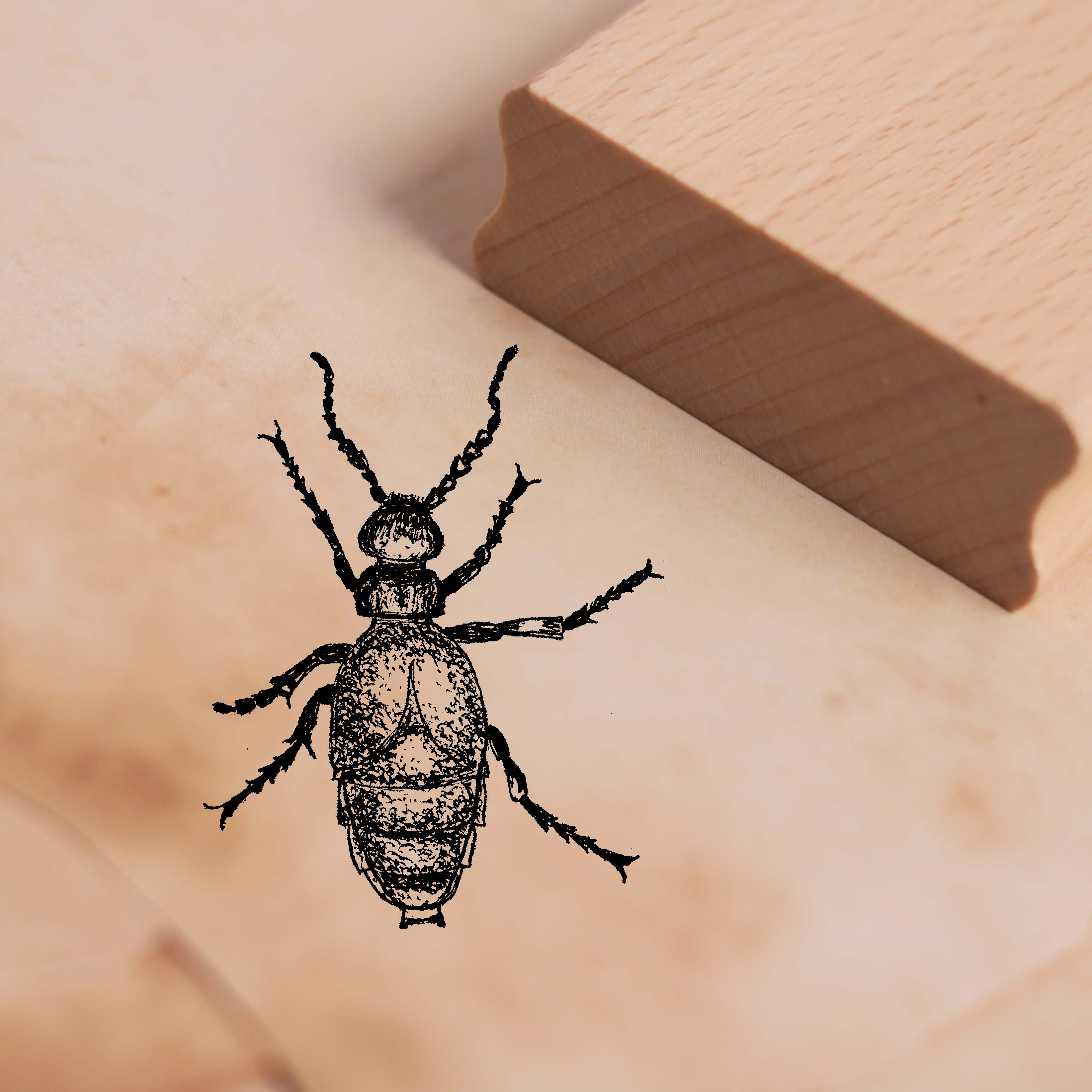 Motivstempel Ölkäfer - Käfer Stempel Holzstempel 38 x 48 mm