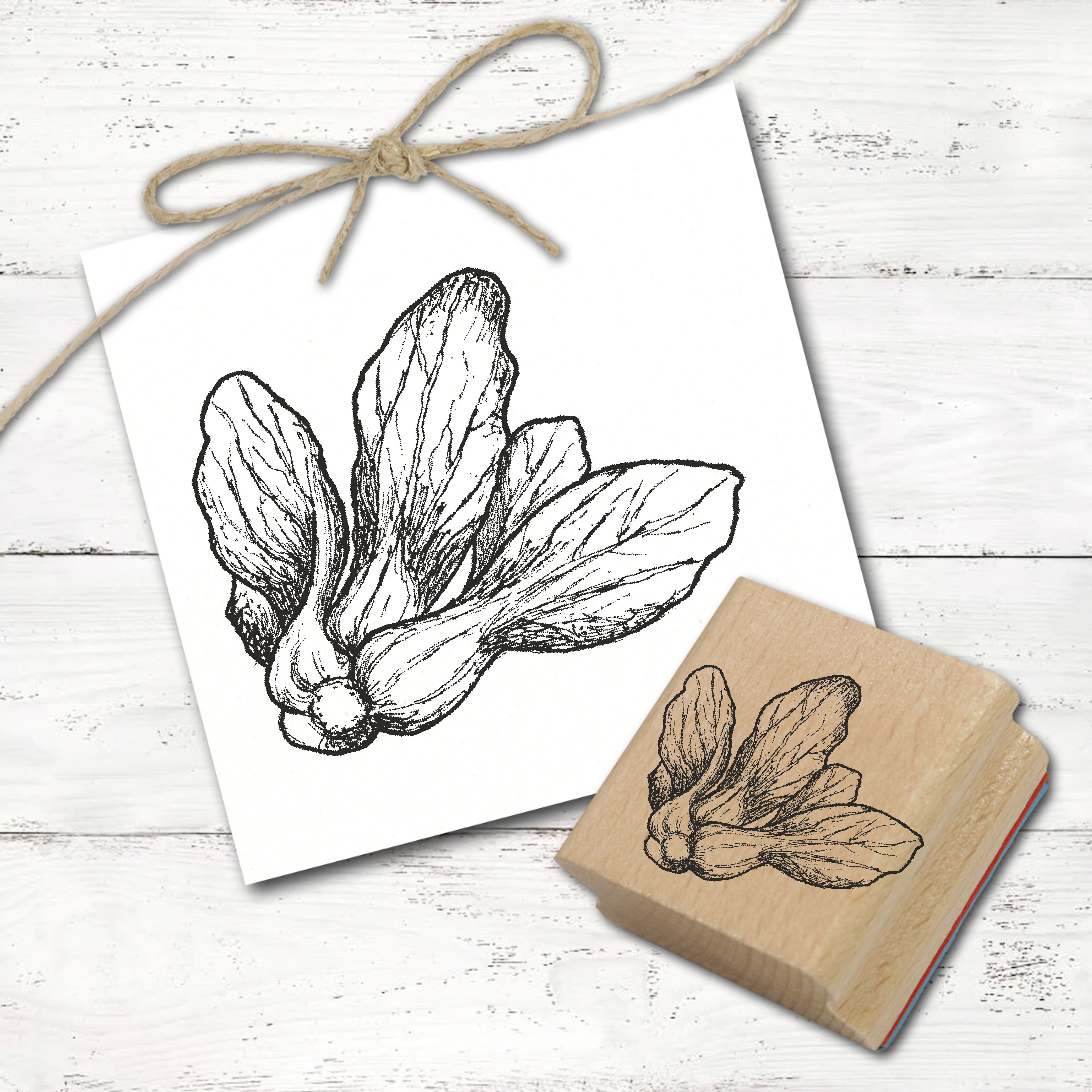 Motivstempel Pak Choi - Stempel Chinakohl Holzstempel 48 x 38 mm