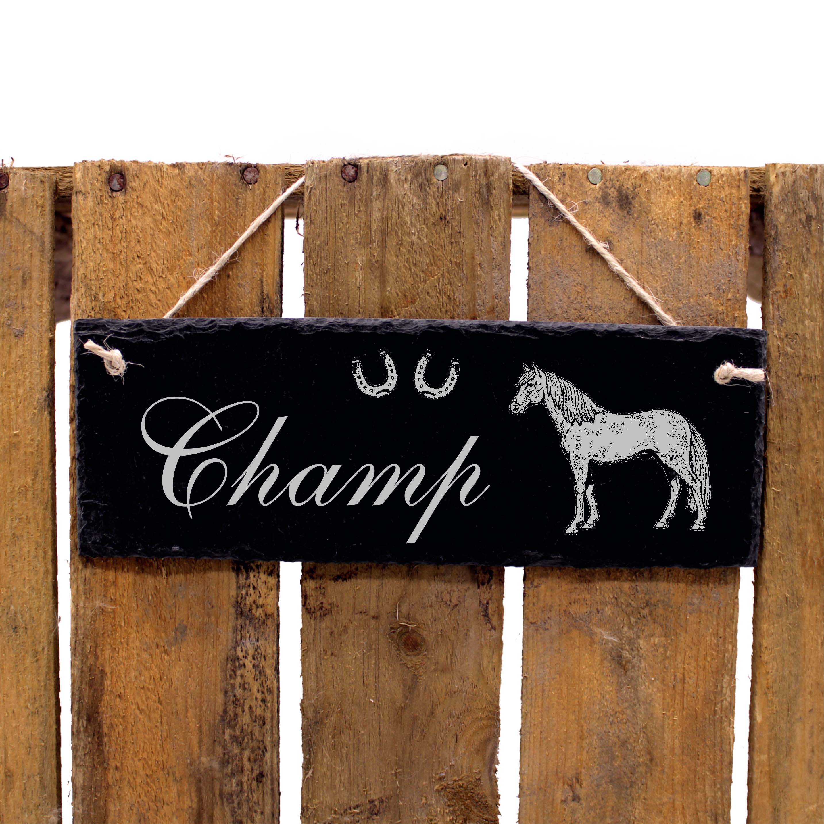 Schiefertafel Appaloosa - Türschild mit Namen - zum Anhängen 22 x 8 cm