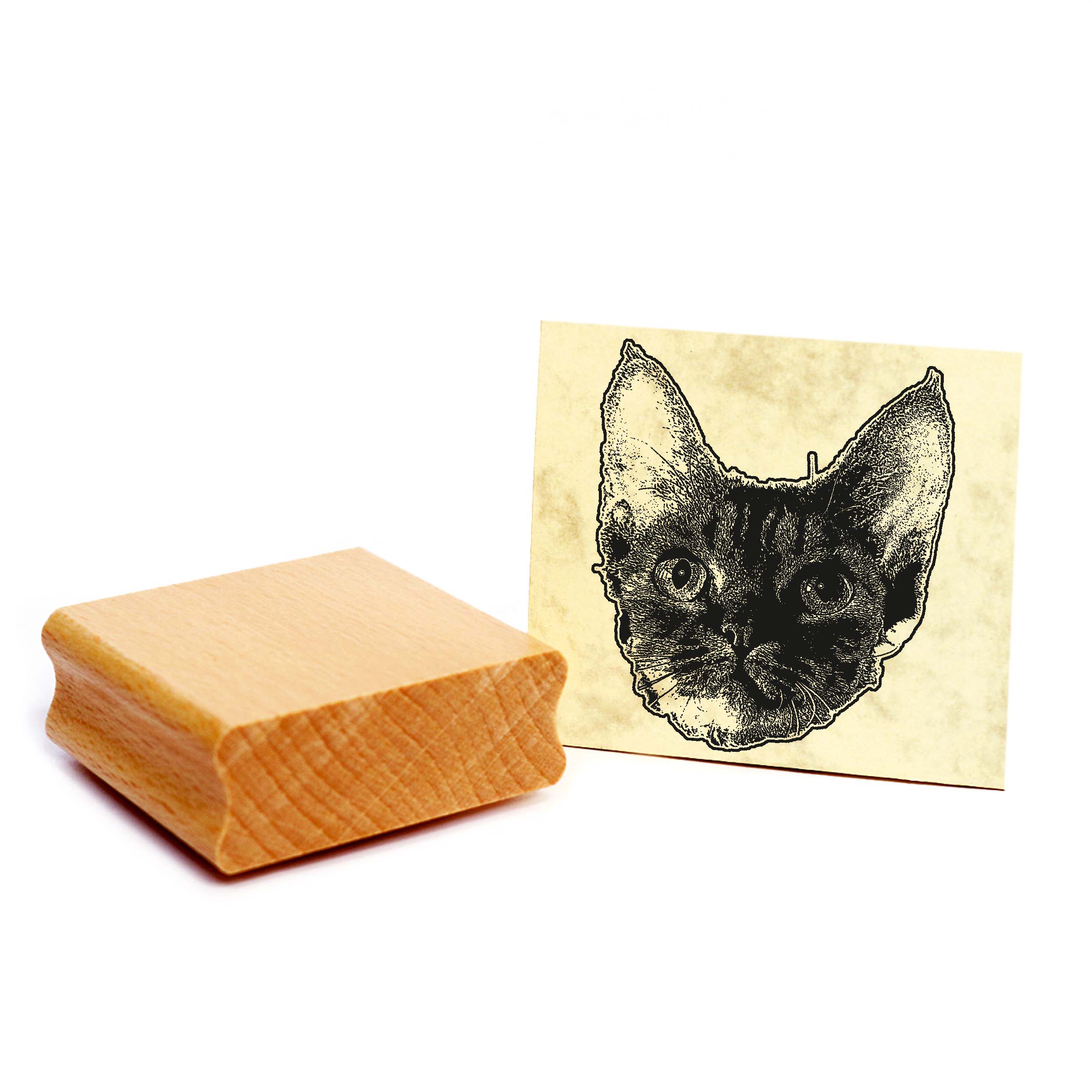 Motivstempel Cornish Rex - Stempel Katze Holzstempel ca. 48 x 48 mm