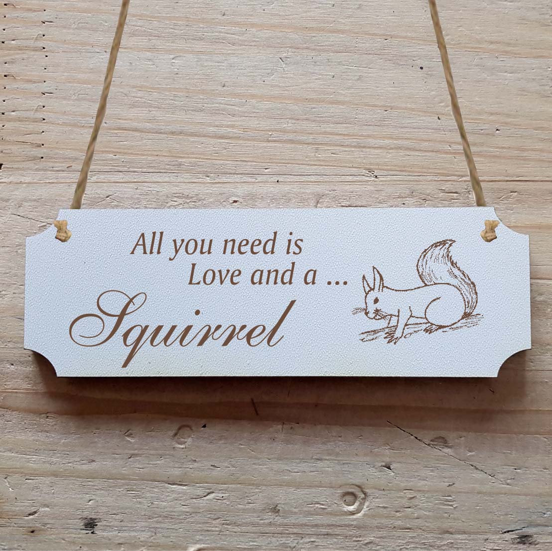 Dekoschild « All you need is Love and a Squirrel » Eichhörnchen 3