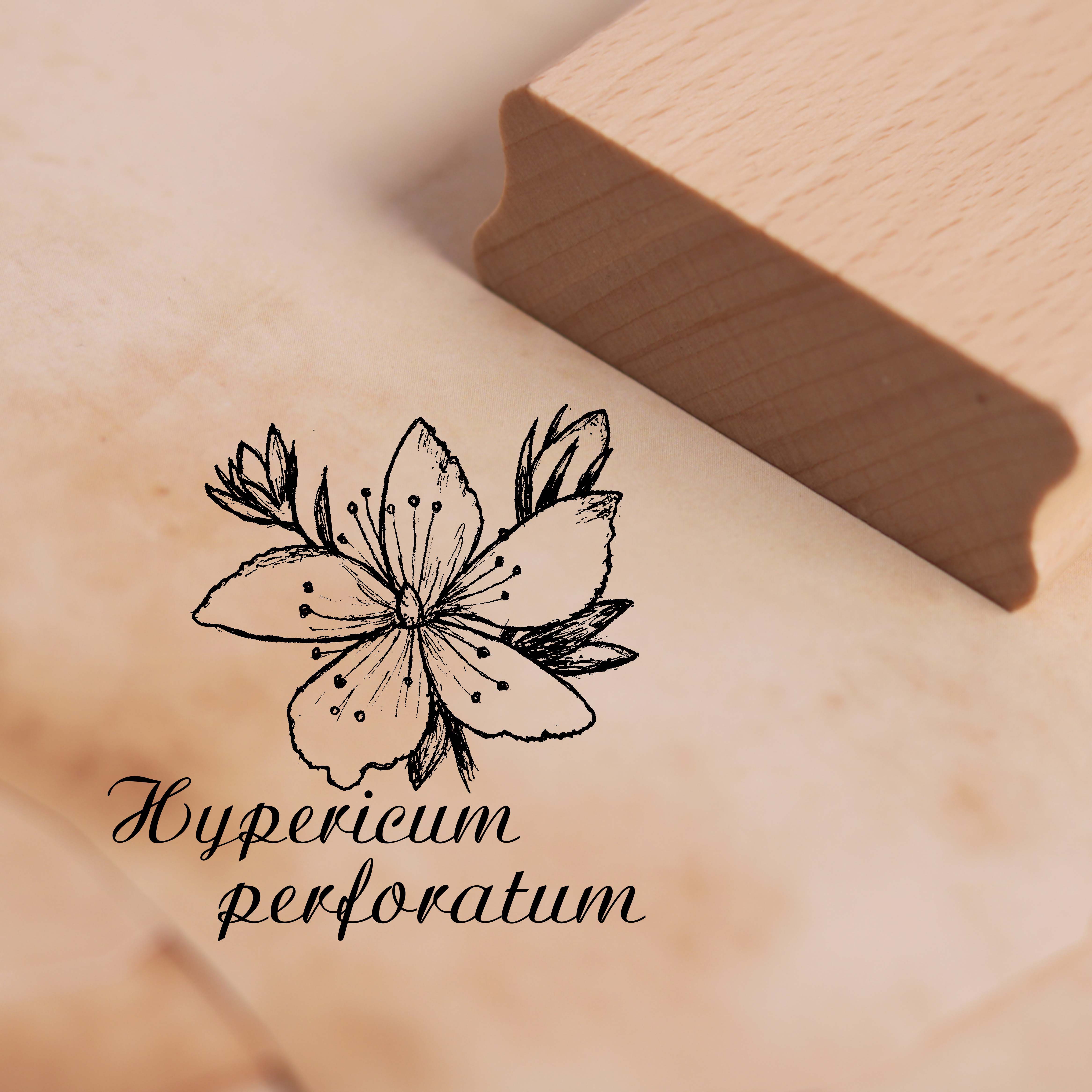 Motivstempel Johanneskraut - Hypericum perforatum - Stempel 38 x 38 mm