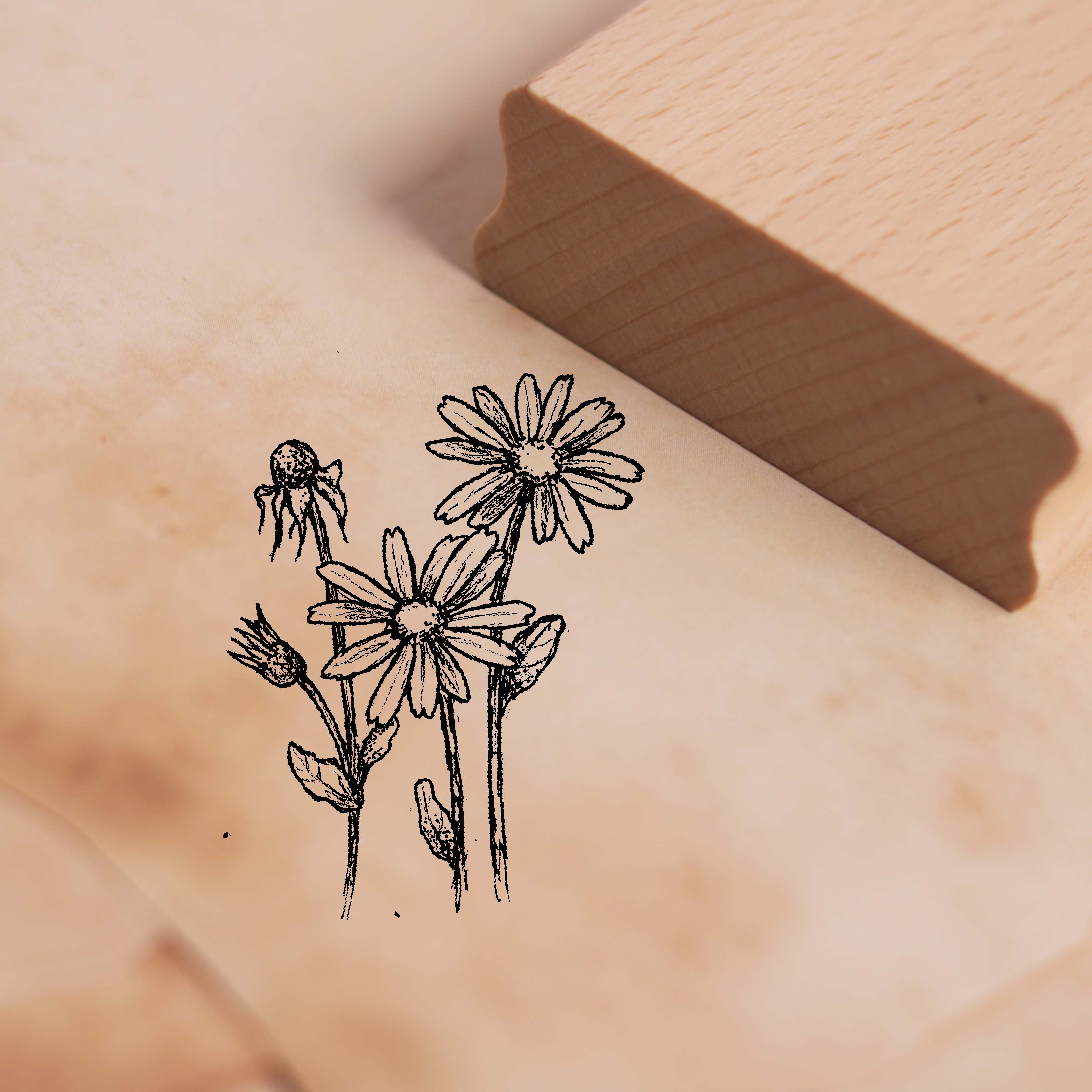 Motivstempel Arnika - Stempel Holzstempel 38 x 48 mm
