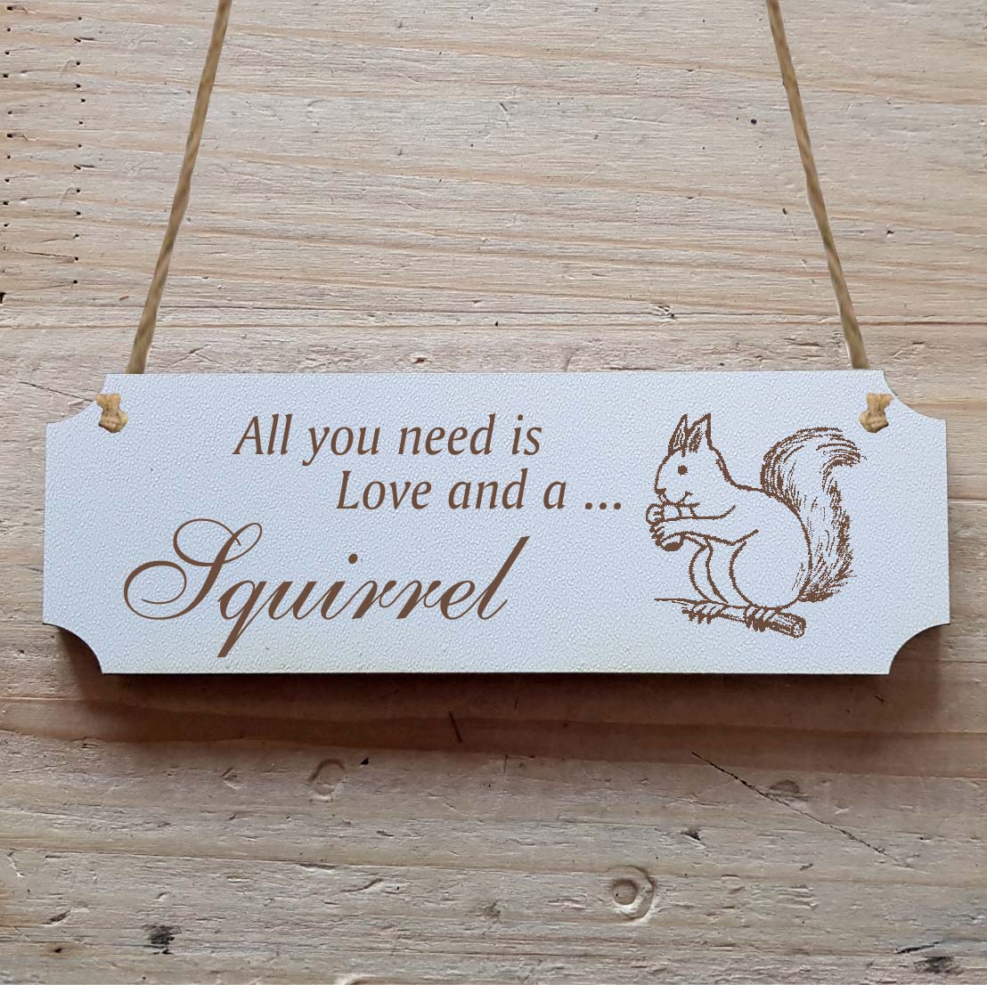 Dekoschild « All you need is Love and a Squirrel » Eichhörnchen 2